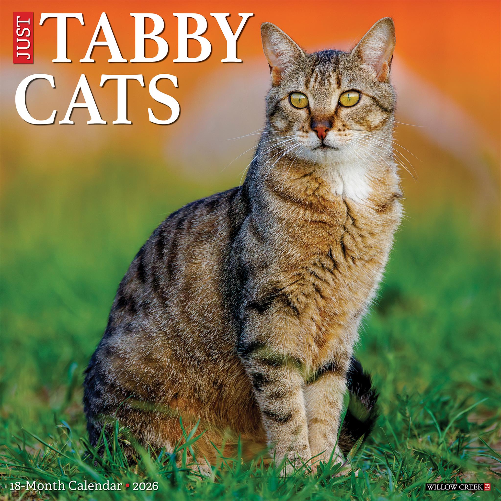 Just Tabby Cats 2026 Wall Calendar - Online Only