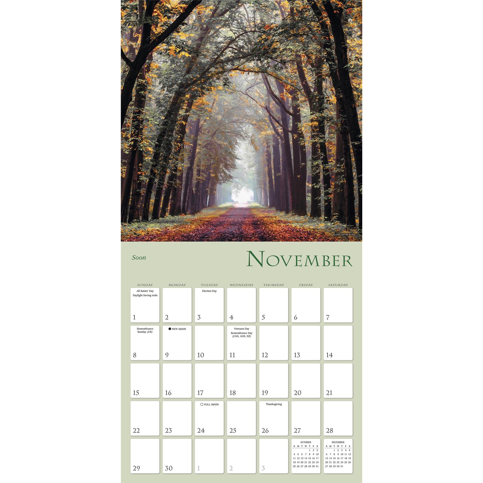 Enchanted Pathways 2026 Wall Calendar