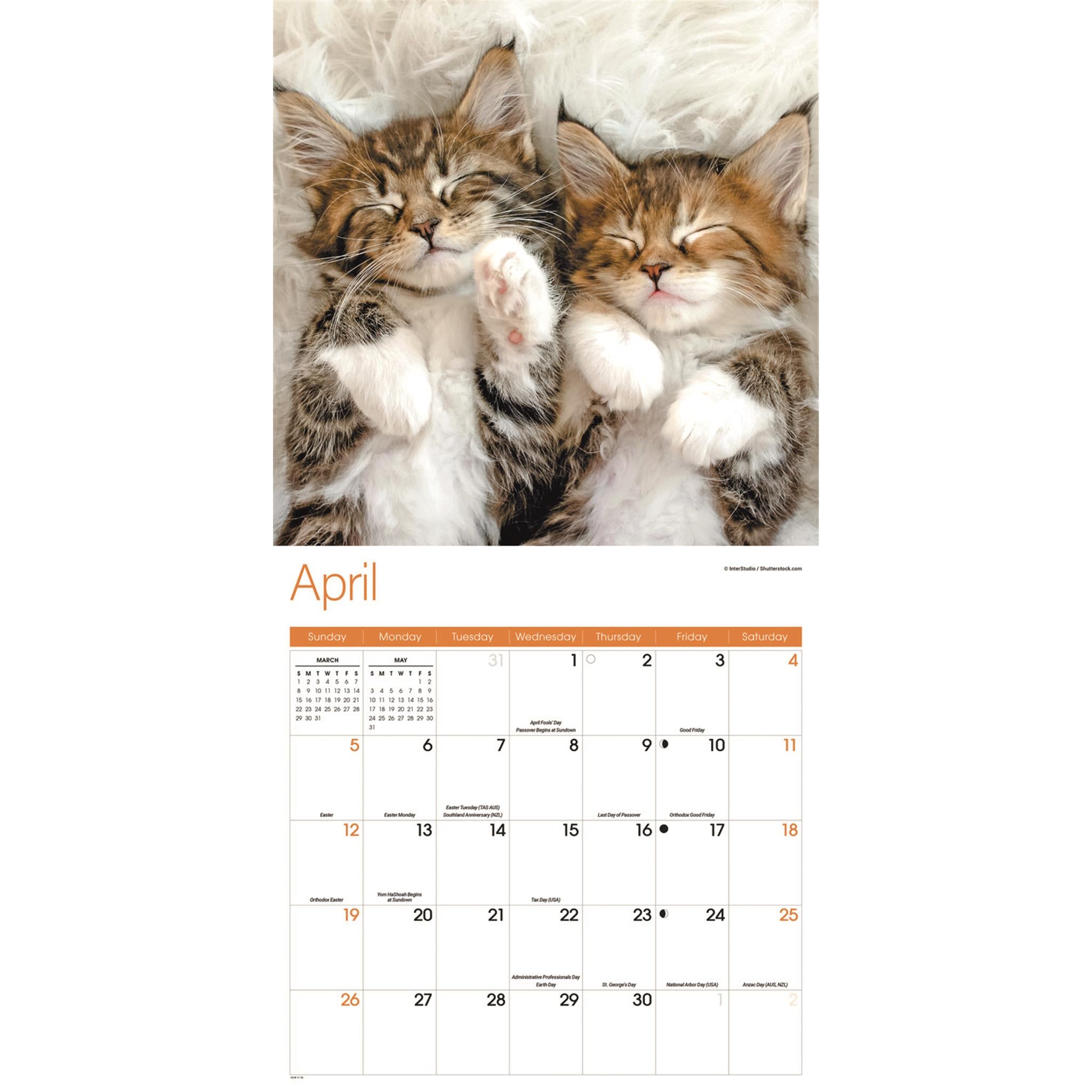 Kitty Naps 2026 Wall Calendar