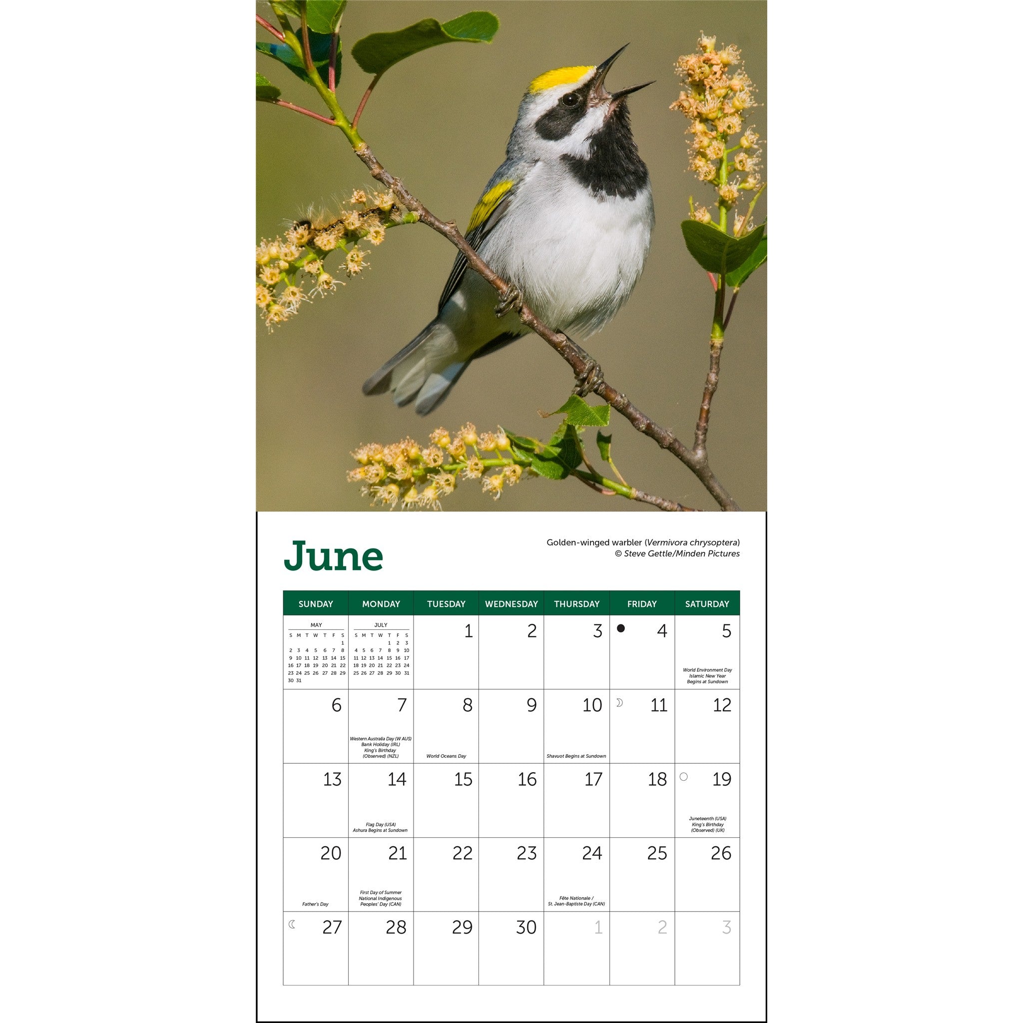 Songbirds 2027 Mini Calendar