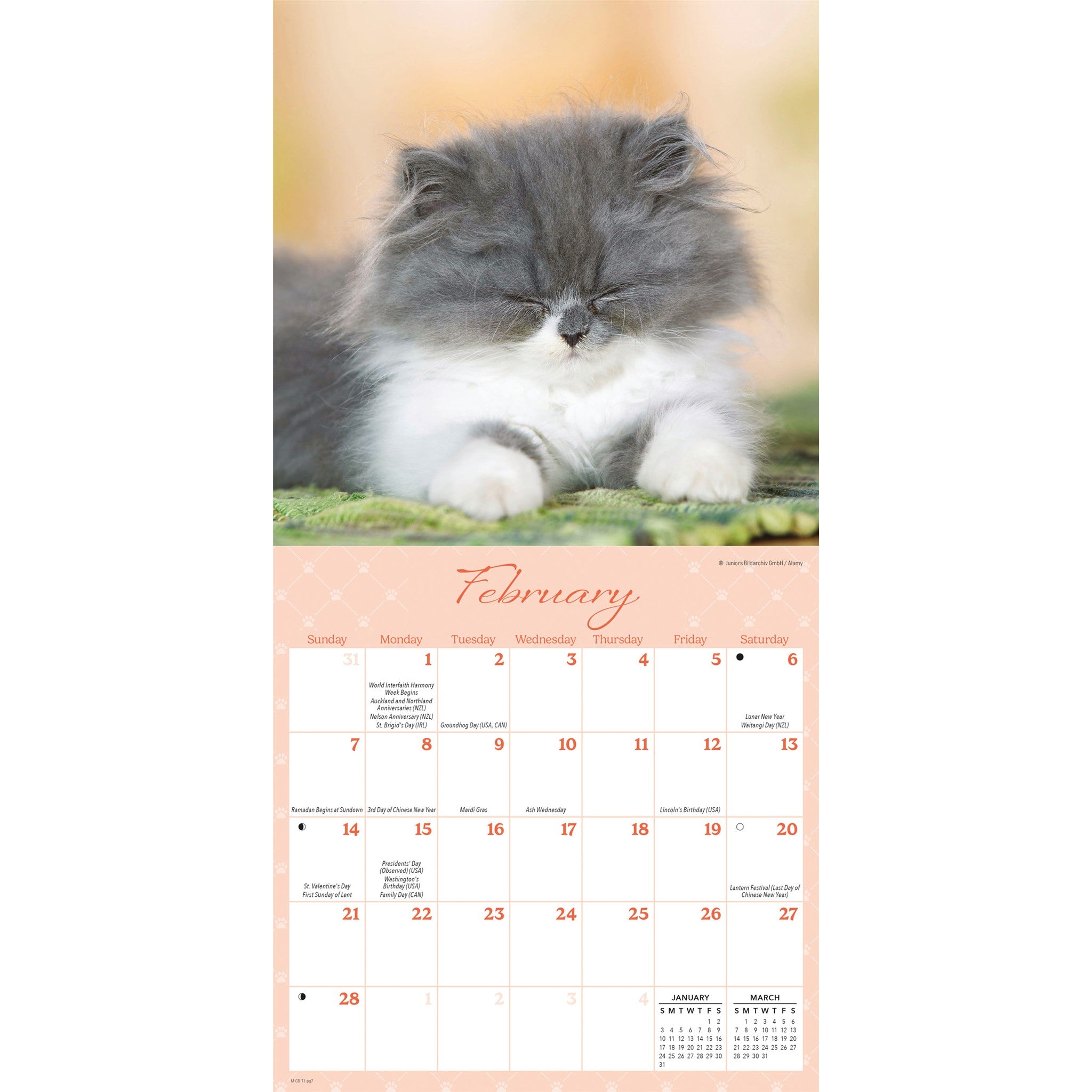 Naptime 2027 Mini Calendar