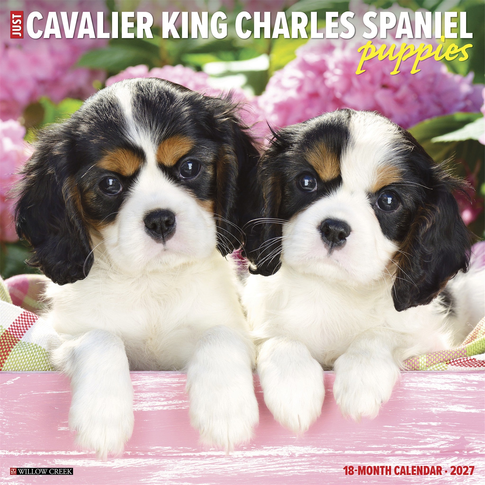 Cavalier King Charles Spaniel Puppies 2027 Wall Calendar - Online Only