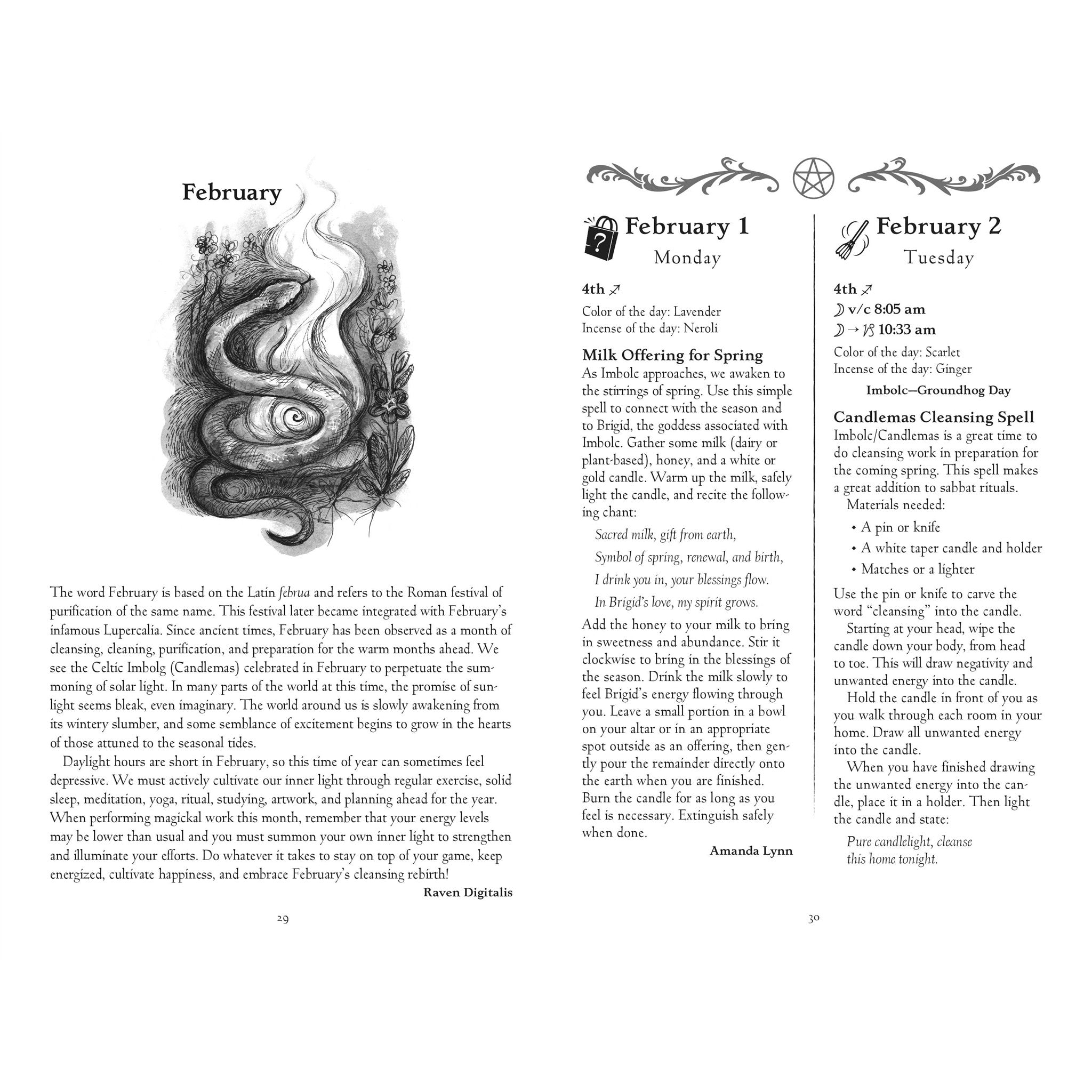 Witches' Spell-A-Day Almanac 2027 Engagement Calendar