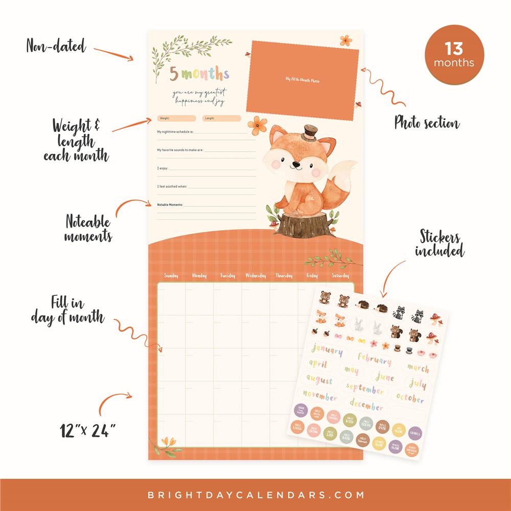 My Babys First Year with Pocket Undated Wall Calendar - Calendar Club Canada
