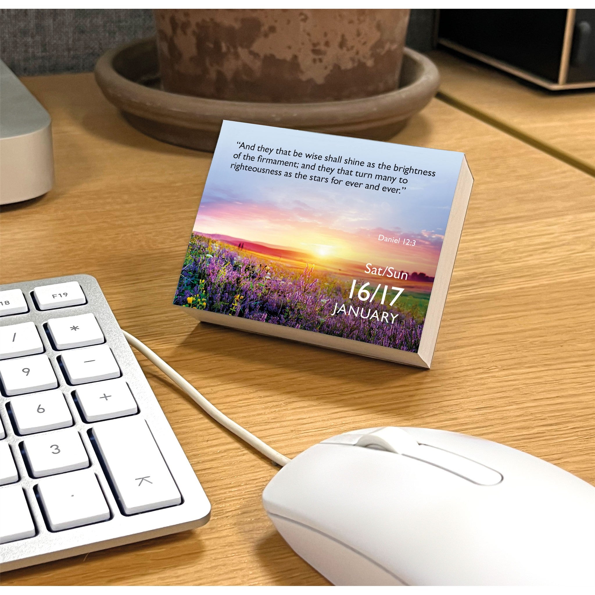 Bible Verse a Day 2027 Small Box Calendar