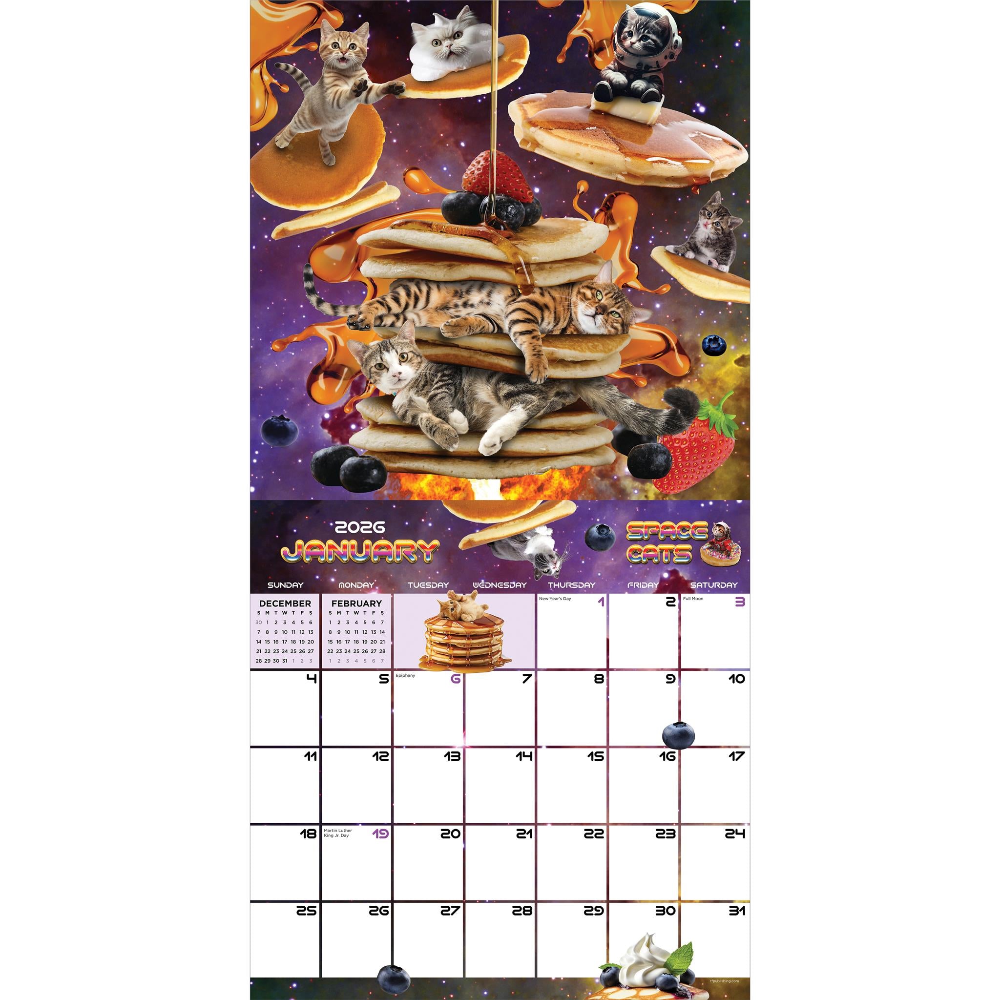 Space Cats 2026 Wall Calendar - Online Only