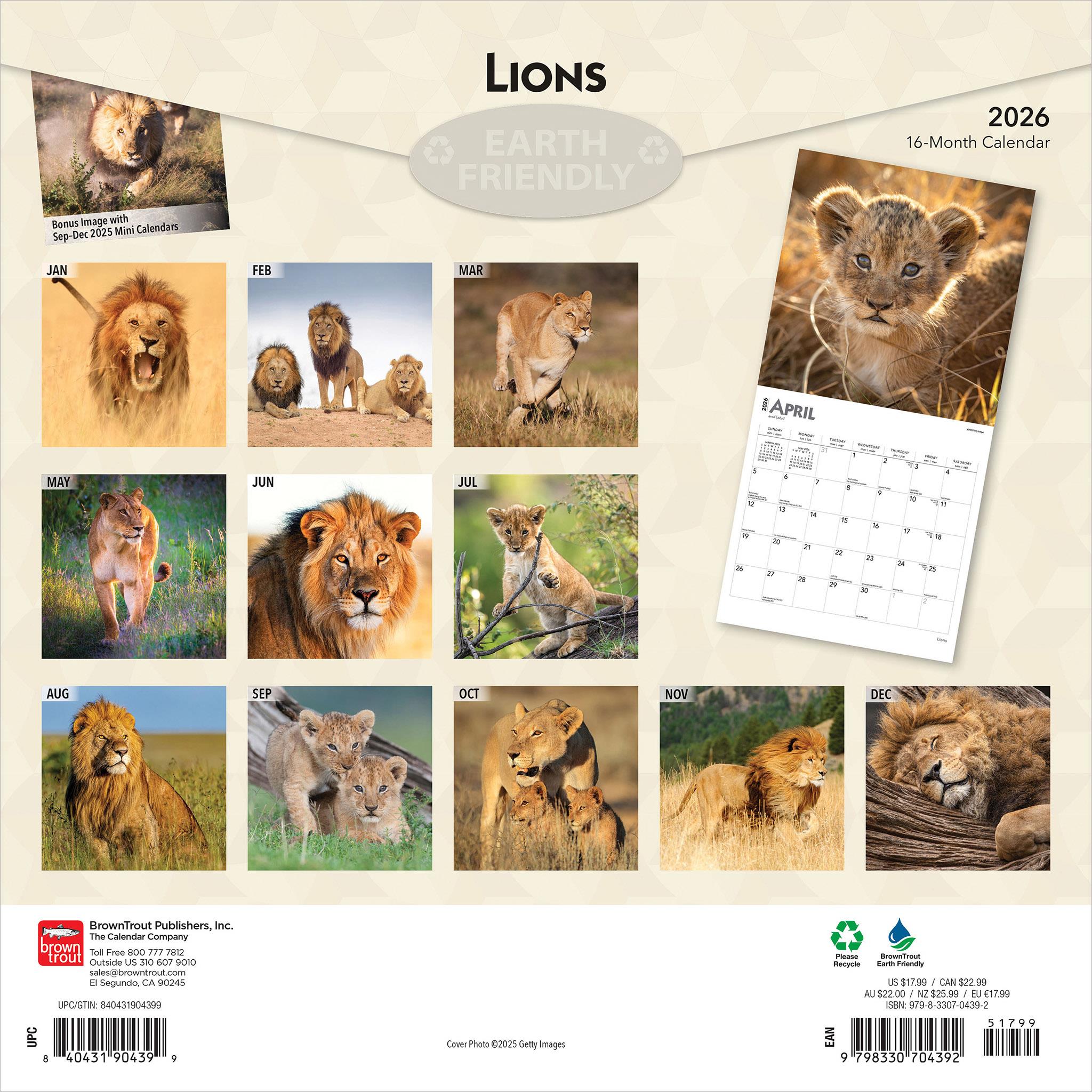 Lions 2026 Wall Calendar - Online Exclusive