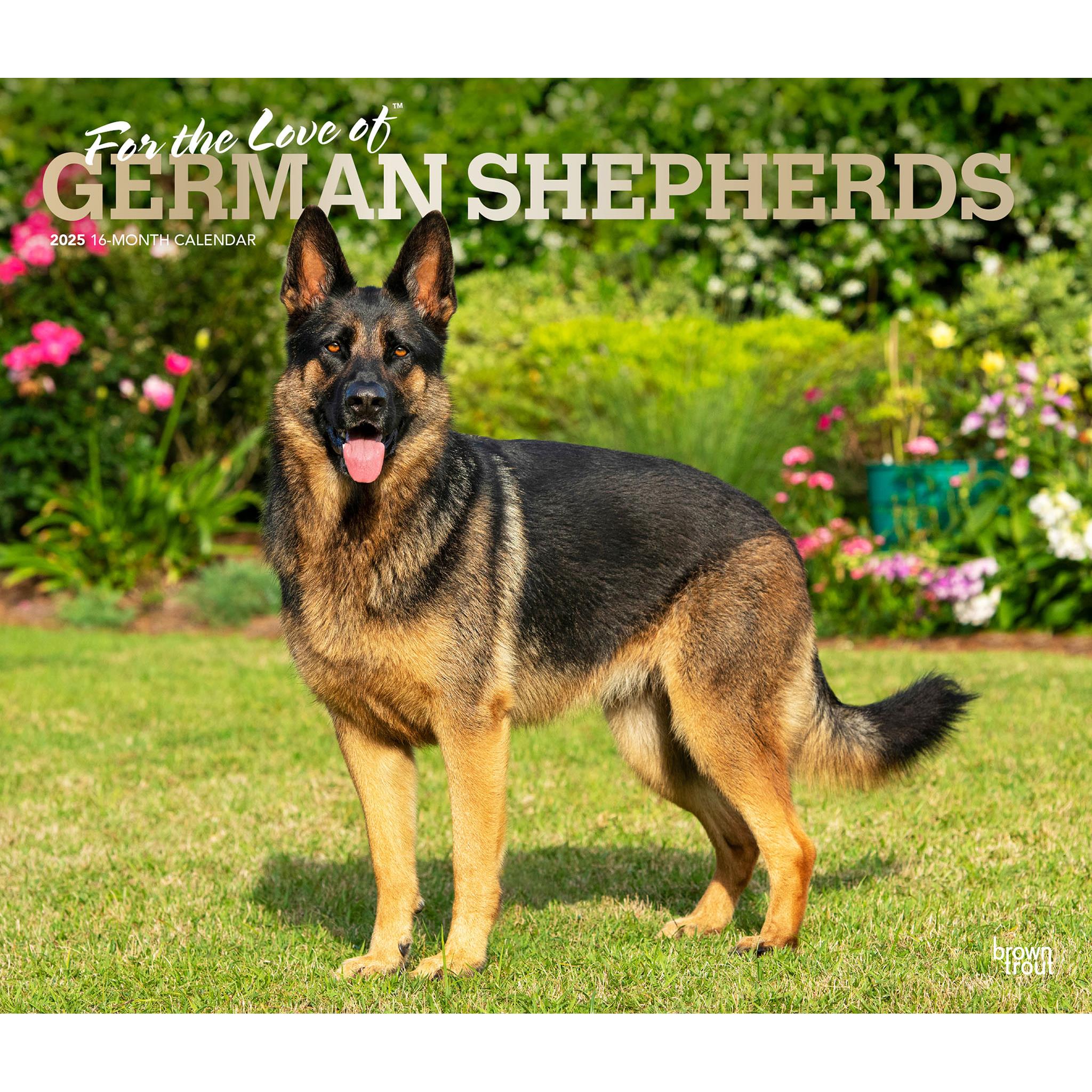 For The Love Of German Shepherds Deluxe Wall 2025 Calendar