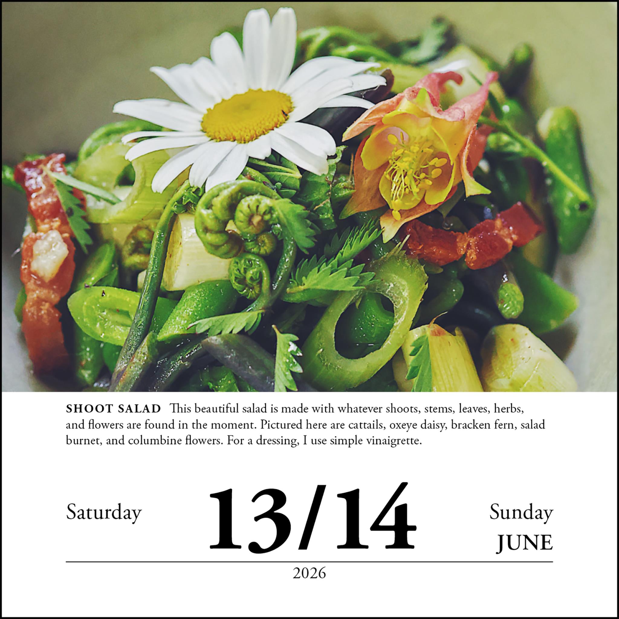 Forager's 2026 Box Calendar - Online Only
