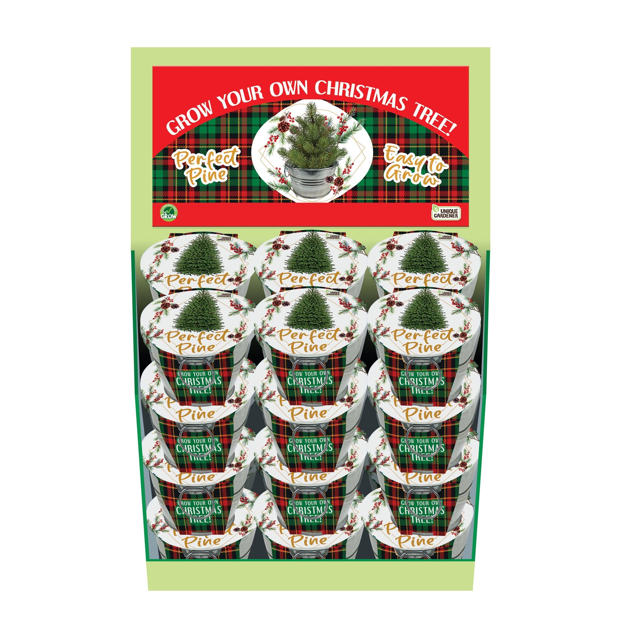 Perfect Pines 24 Piece