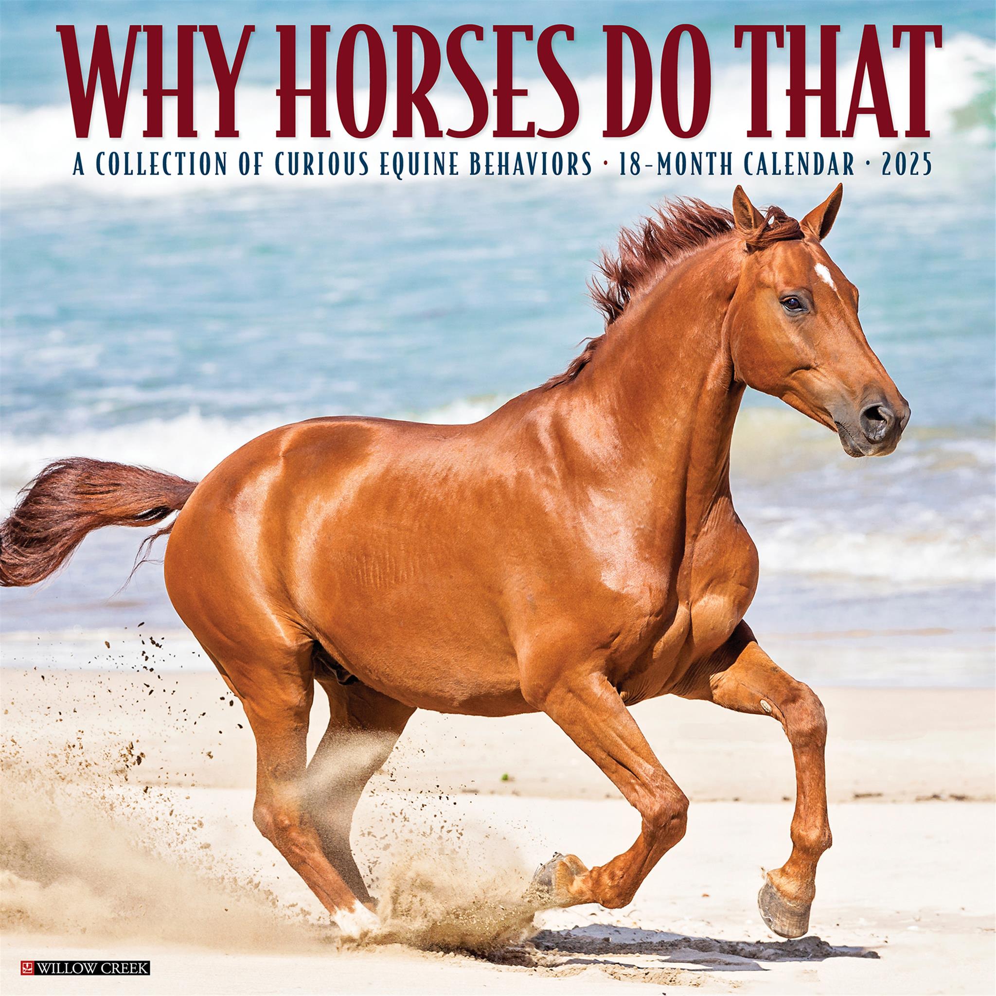 Why Horses Do That Wall 2025 Calendar