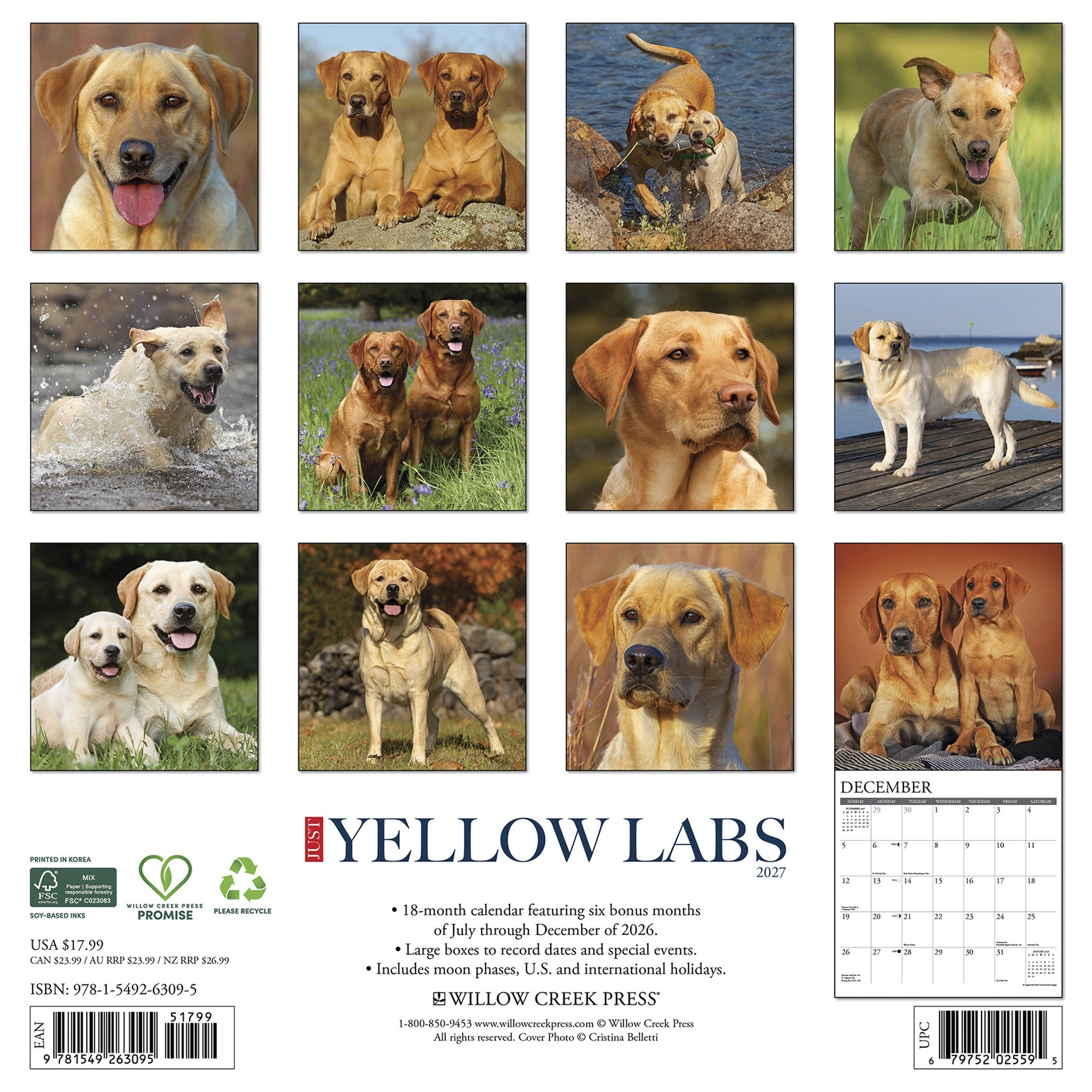 Yellow Labs 2027 Wall Calendar