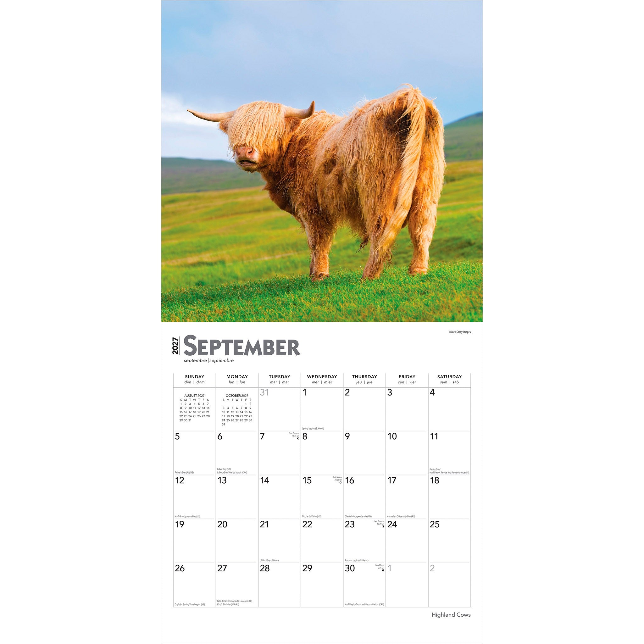 Highland Cows 2027 Wall Calendar
