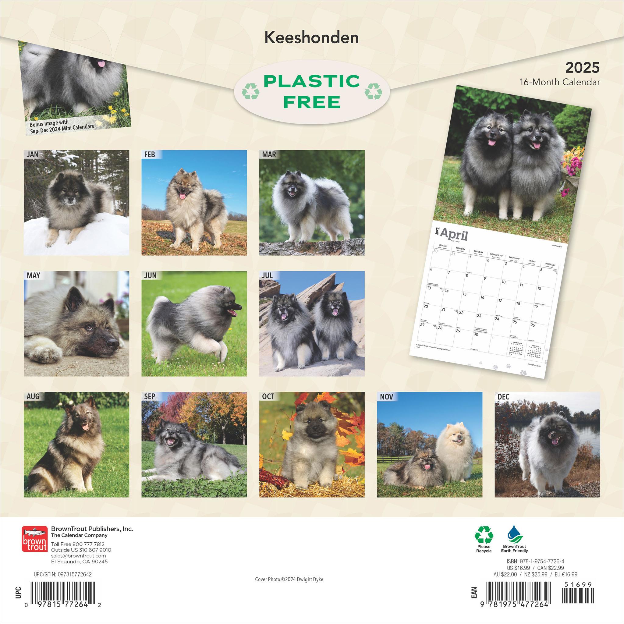 Keeshonden Wall 2025 Calendar