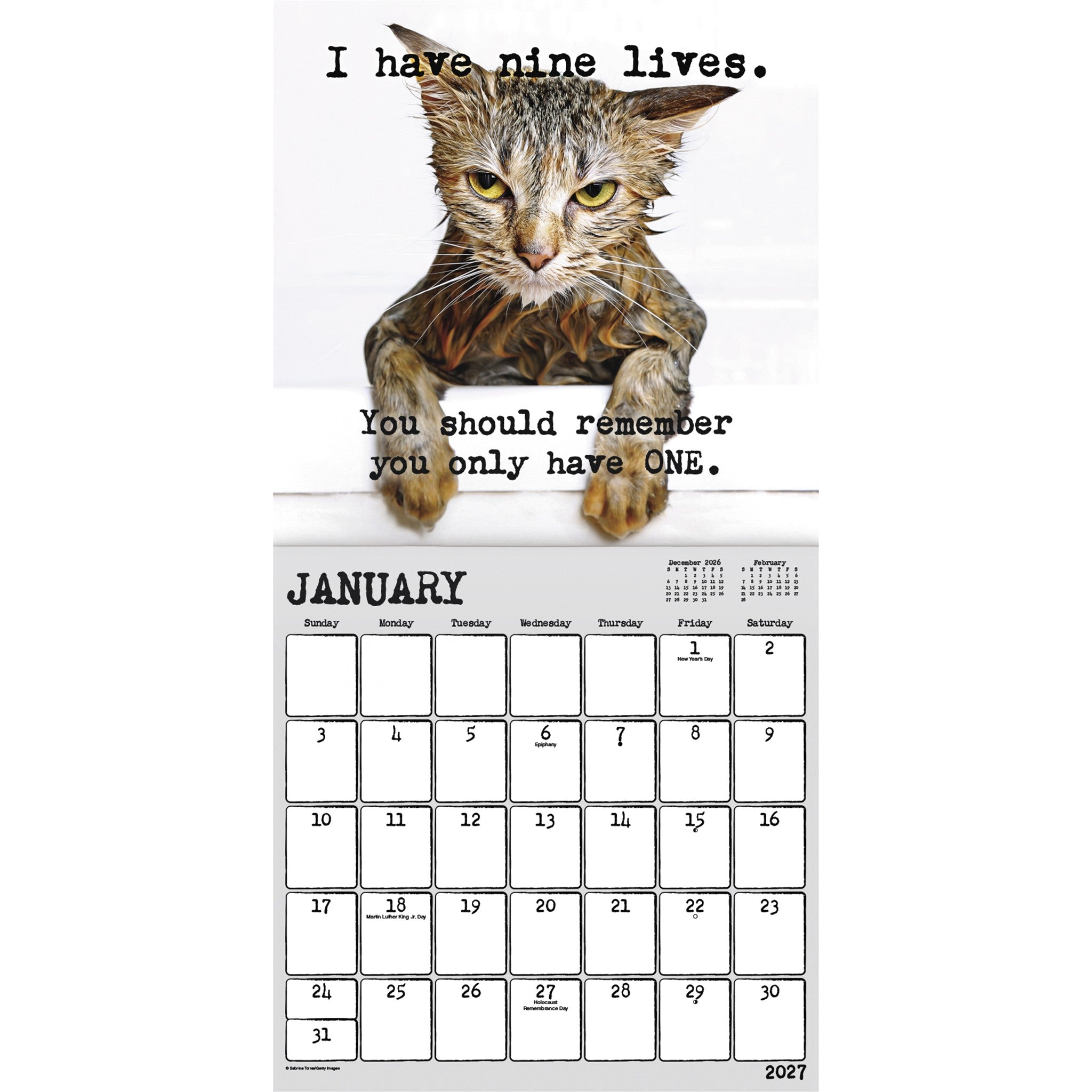 Snarcatstic 2027 Wall Calendar - Online Only
