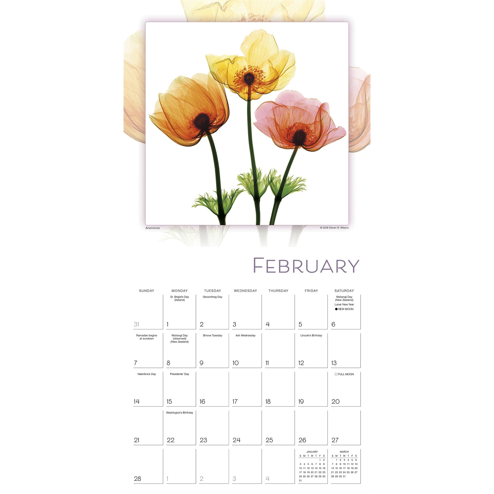 Flower Spirits 2027 Wall Calendar