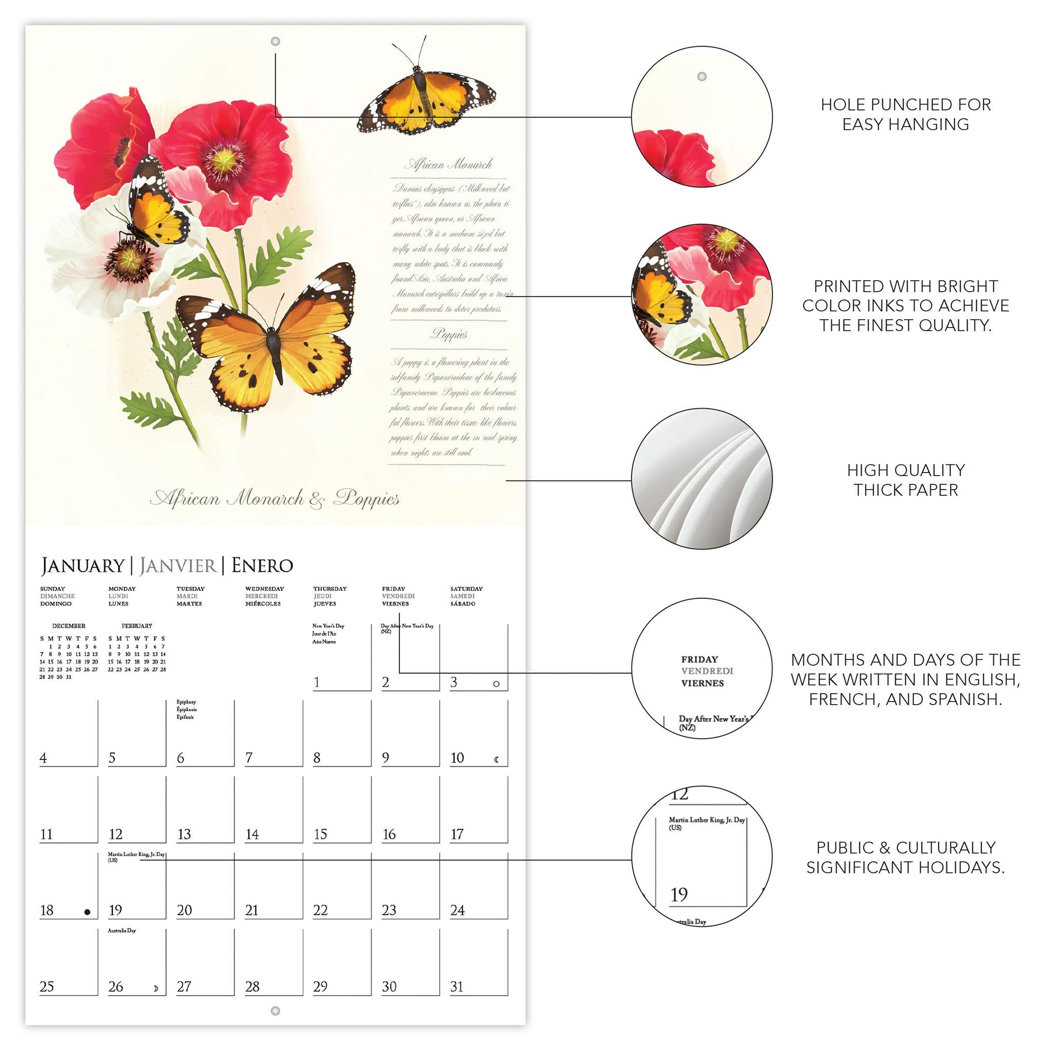 Butterflies 2026 Wall Calendar - Online Only