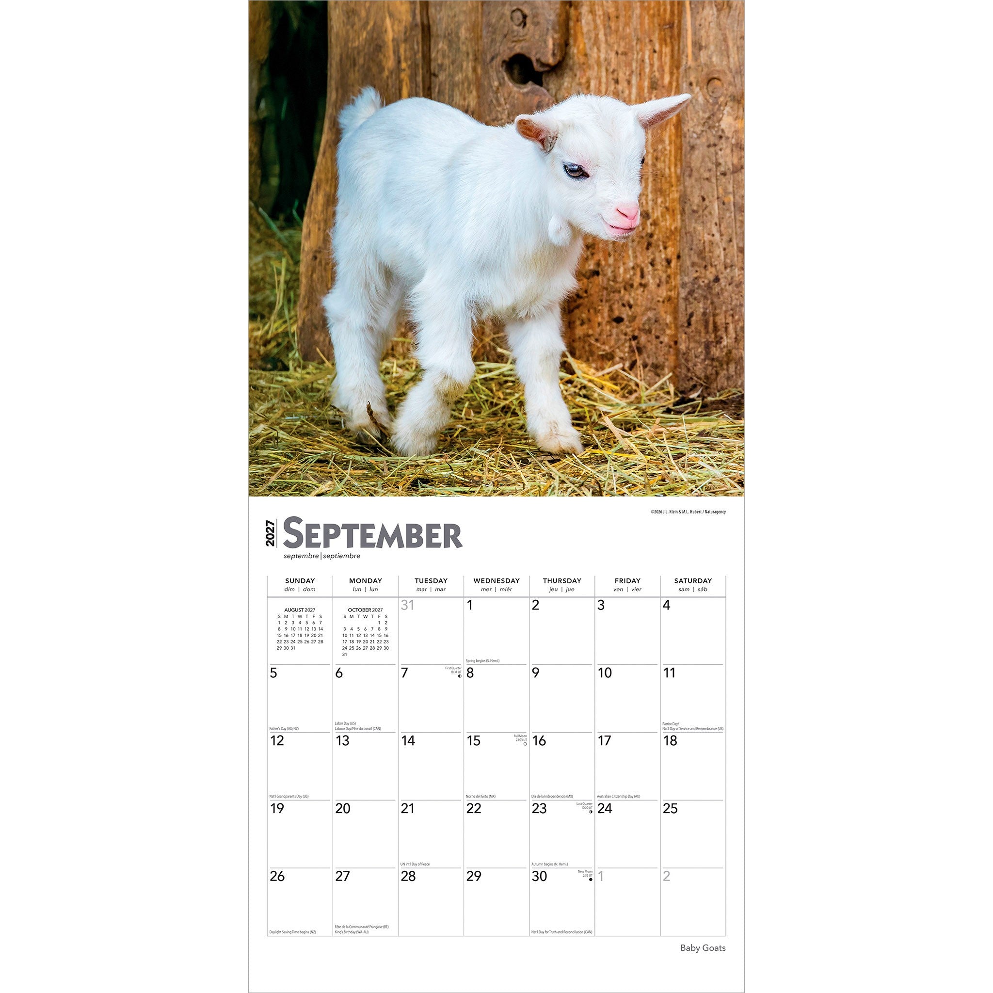Baby Goats 2027 Wall Calendar