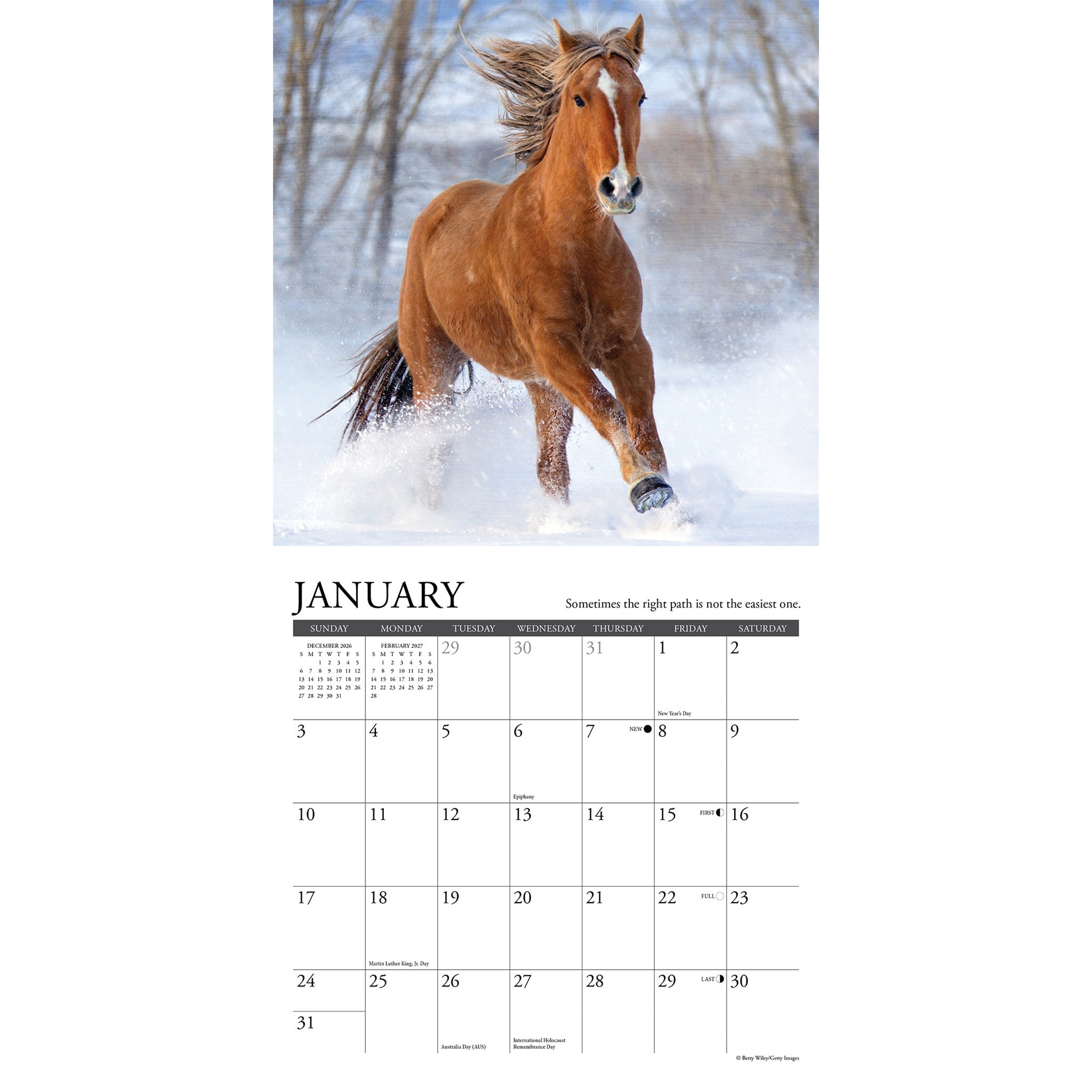 What Horses Teach Us 2027 Mini Calendar