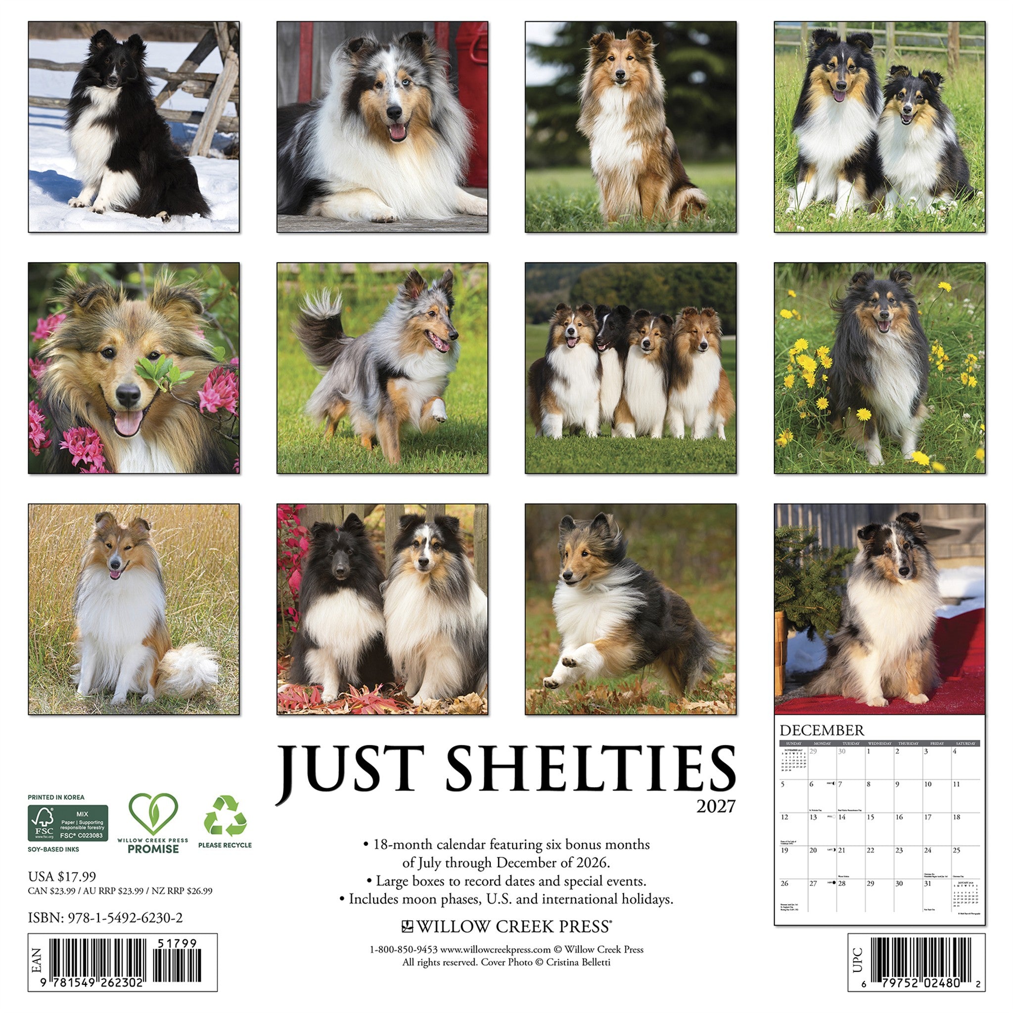 Shelties 2027 Wall Calendar