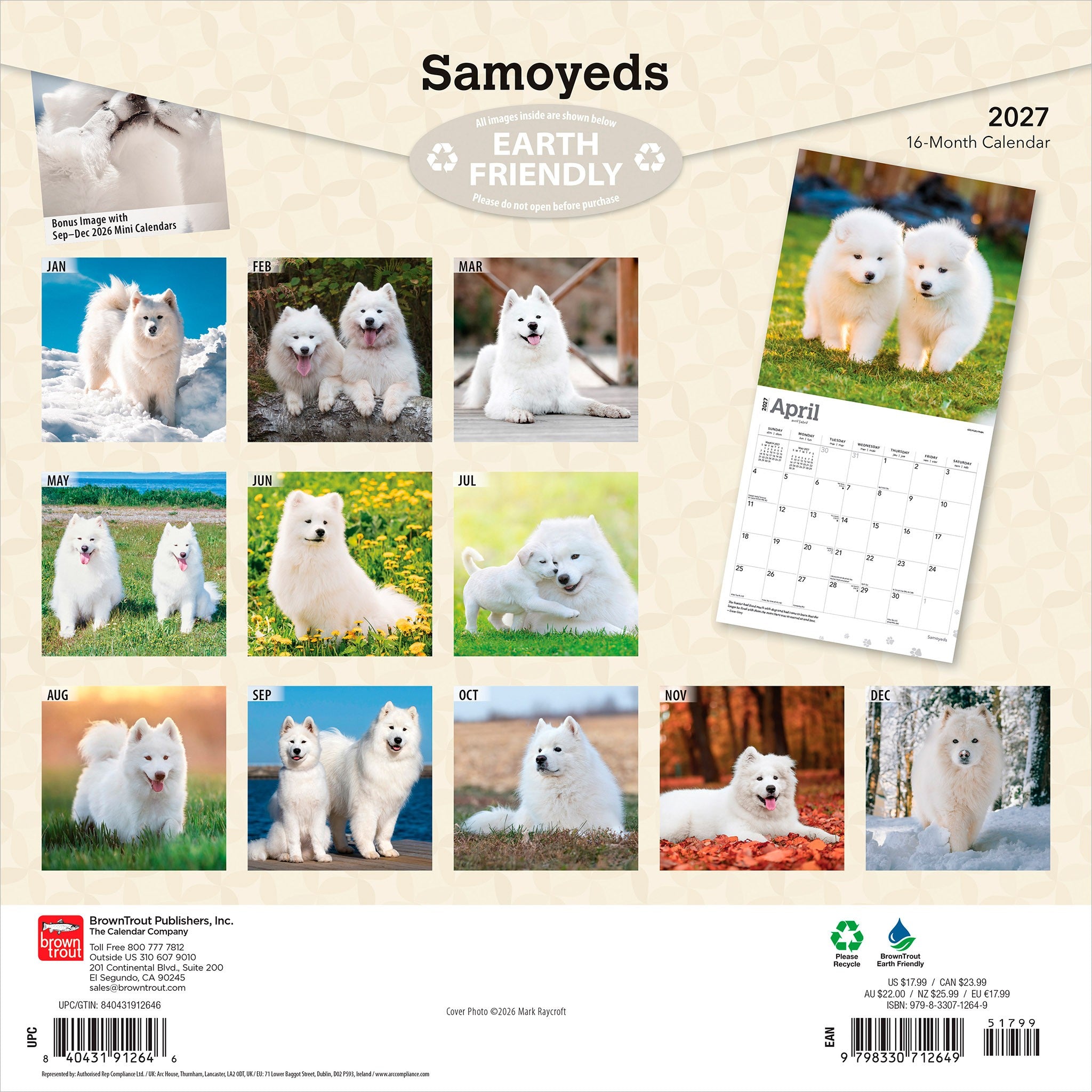 Samoyeds 2027 Wall Calendar