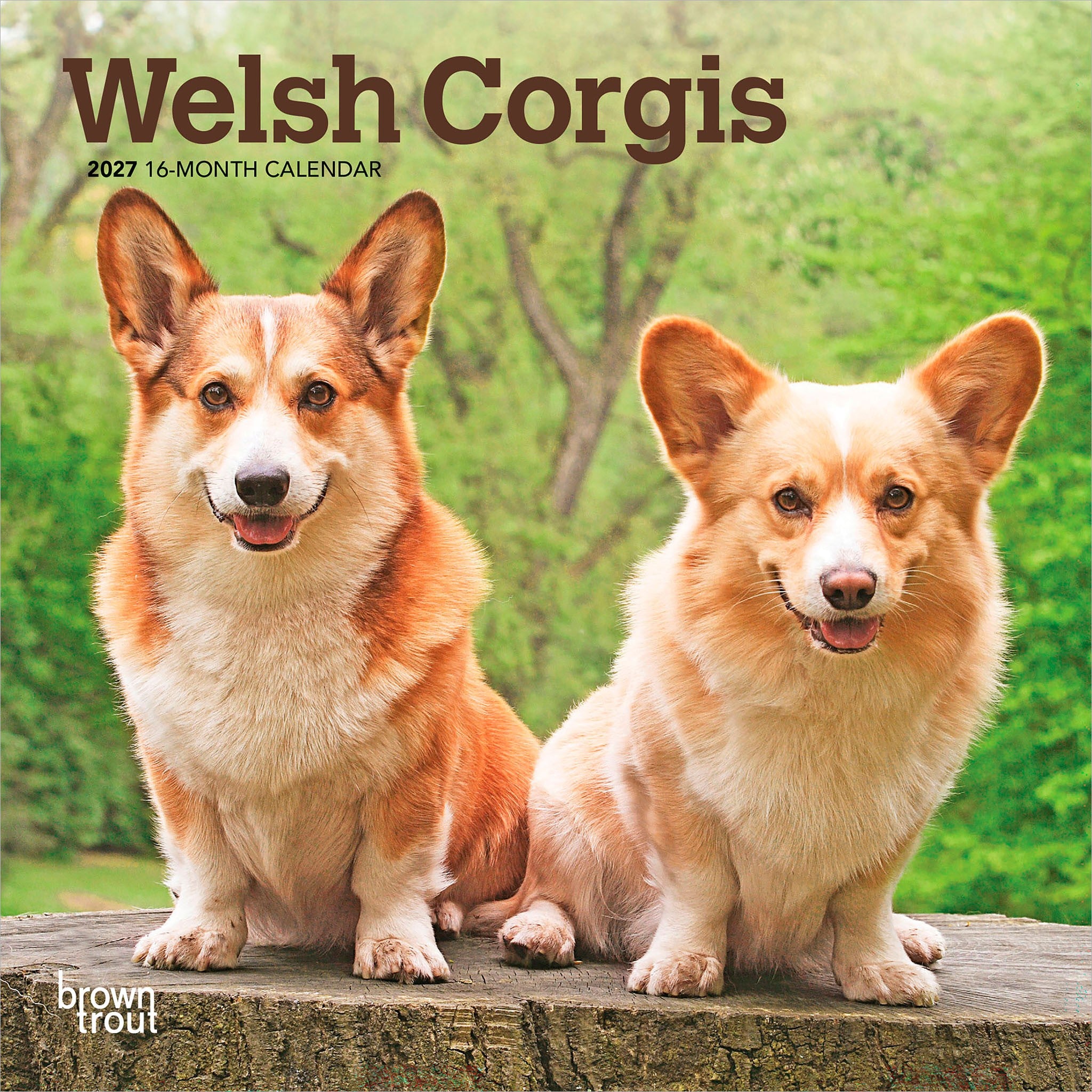 Welsh Corgis 2027 Mini Calendar