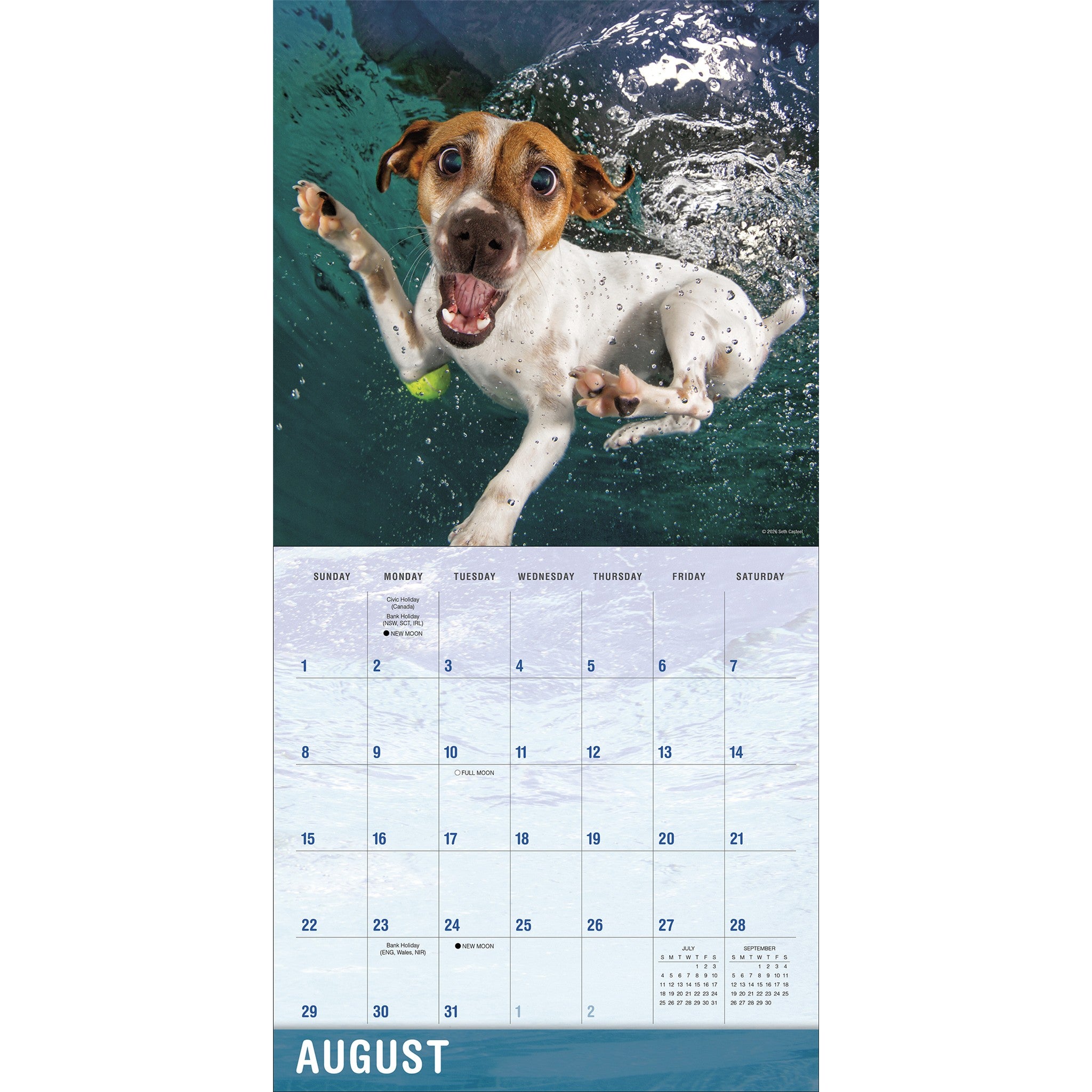 Underwater Dogs 2027 Wall Calendar