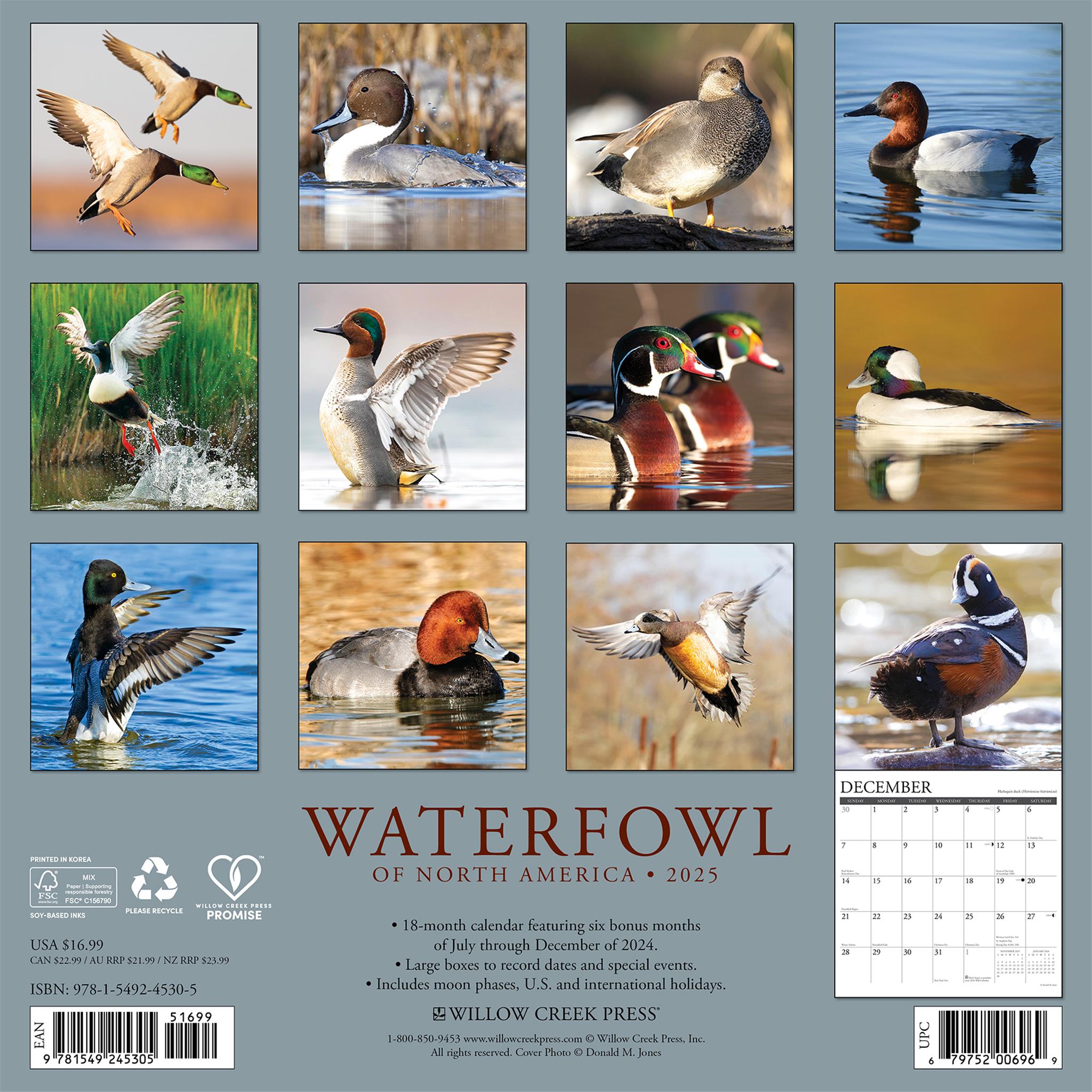 Waterfowl Wall 2025 Calendar