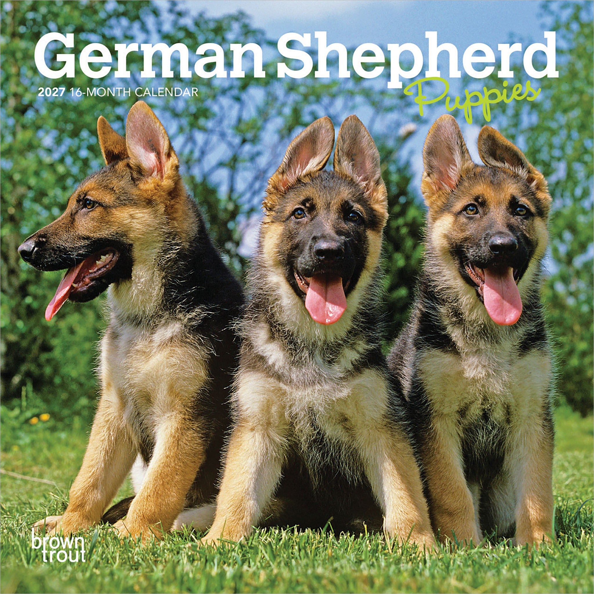 German Shepherd Puppies 2027 Mini Calendar
