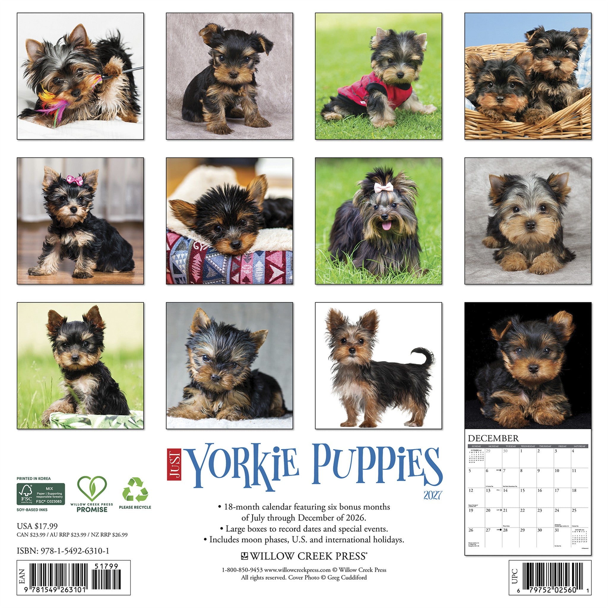 Yorkie Puppies 2027 Wall Calendar