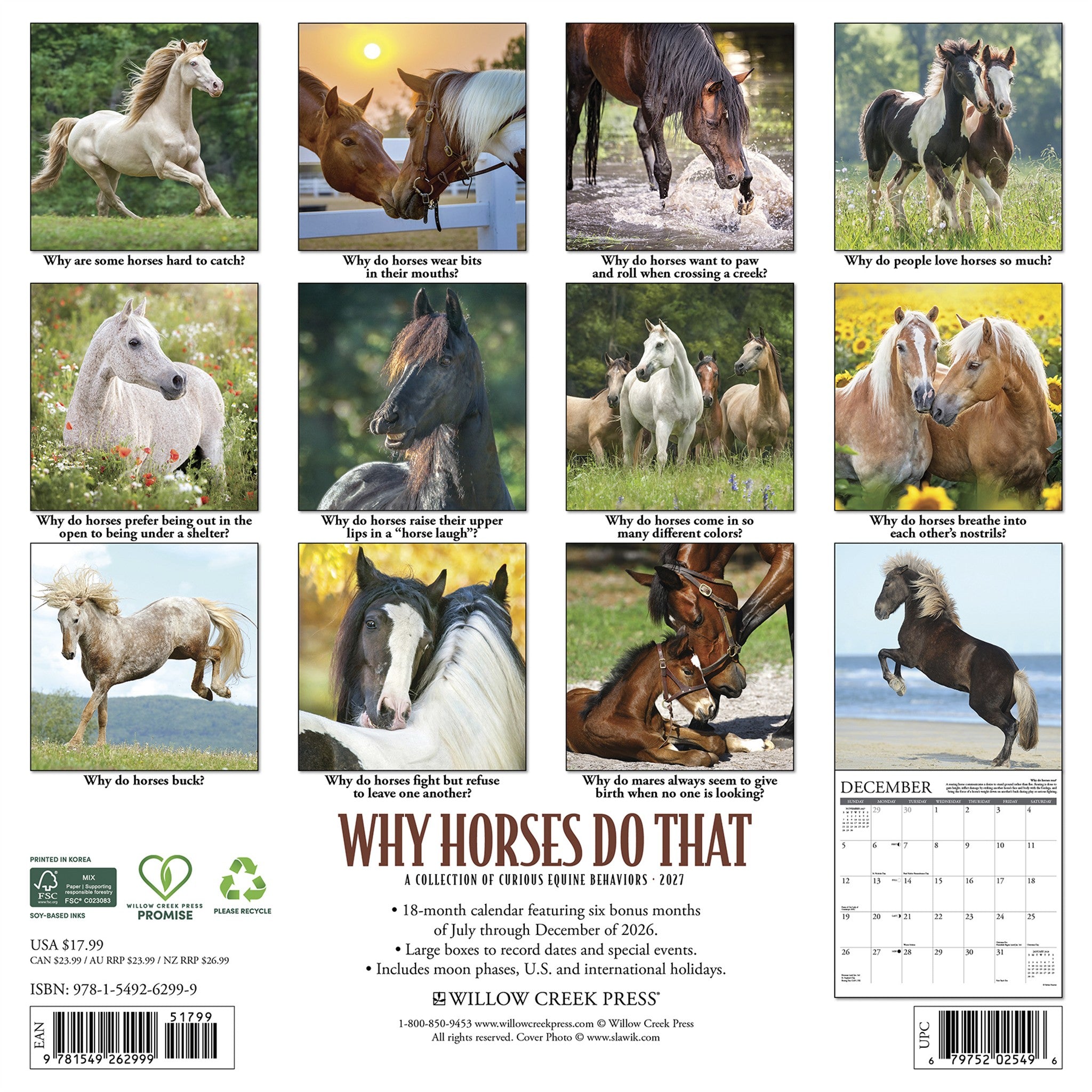 Why Horses Do That 2027 Wall Calendar