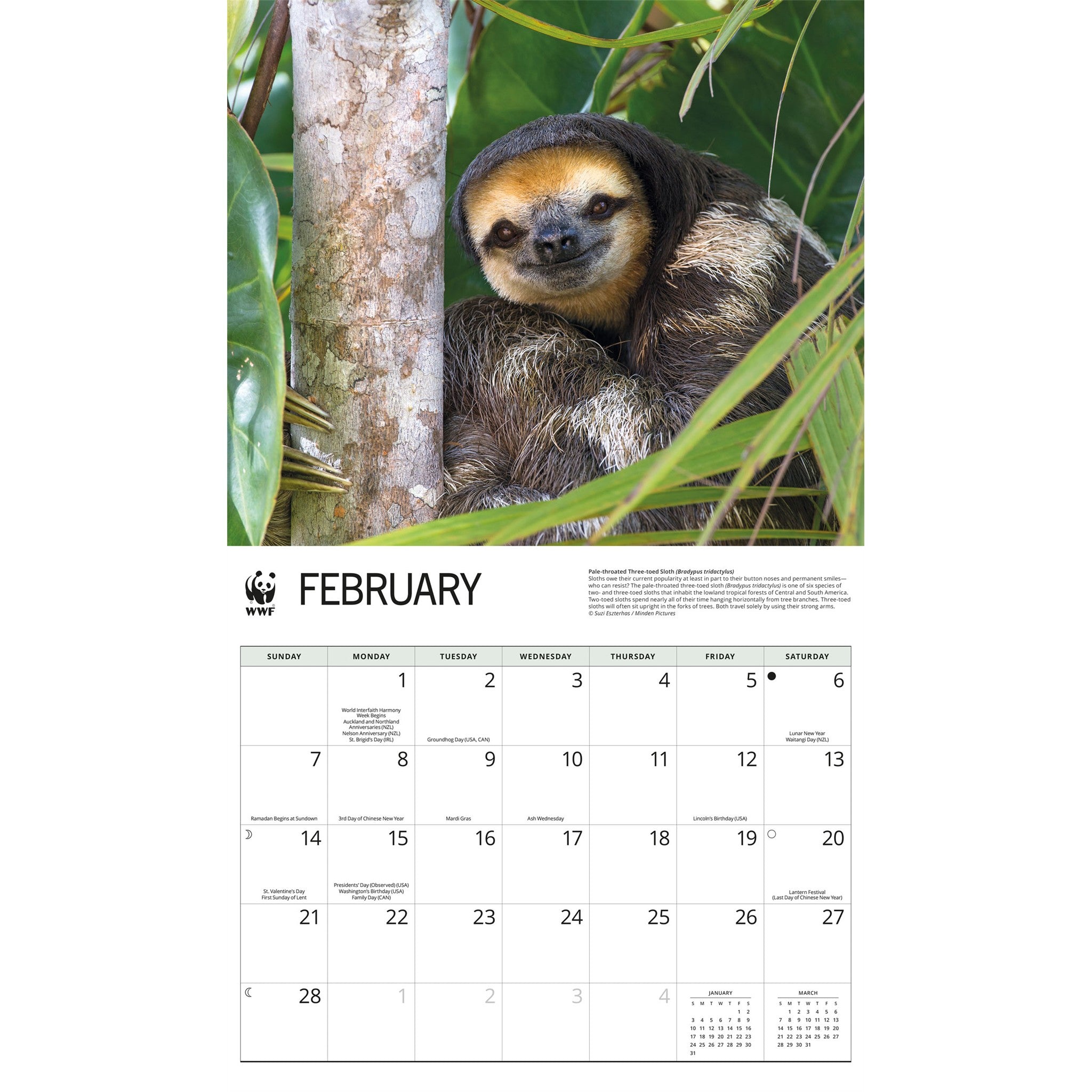 World Wildlife Fund Sloths 2027 Wall Calendar
