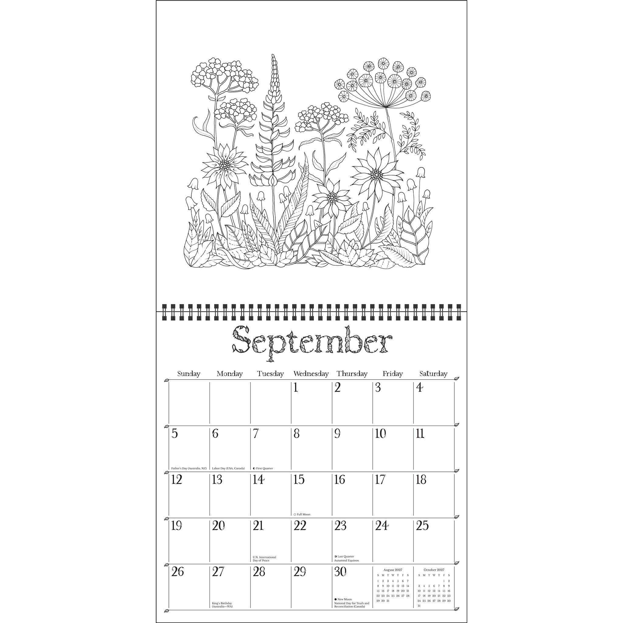 Johanna Basford Wonderful Wildflowers Coloring 2027 Wall Calendar
