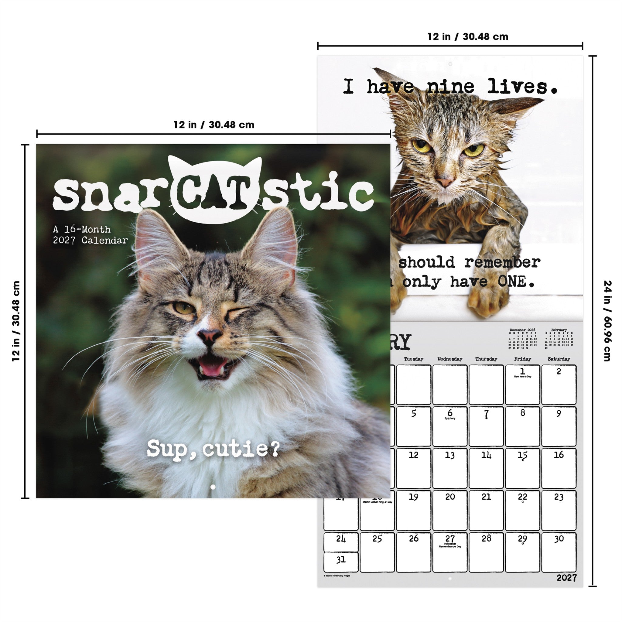 Snarcatstic 2027 Wall Calendar - Online Only