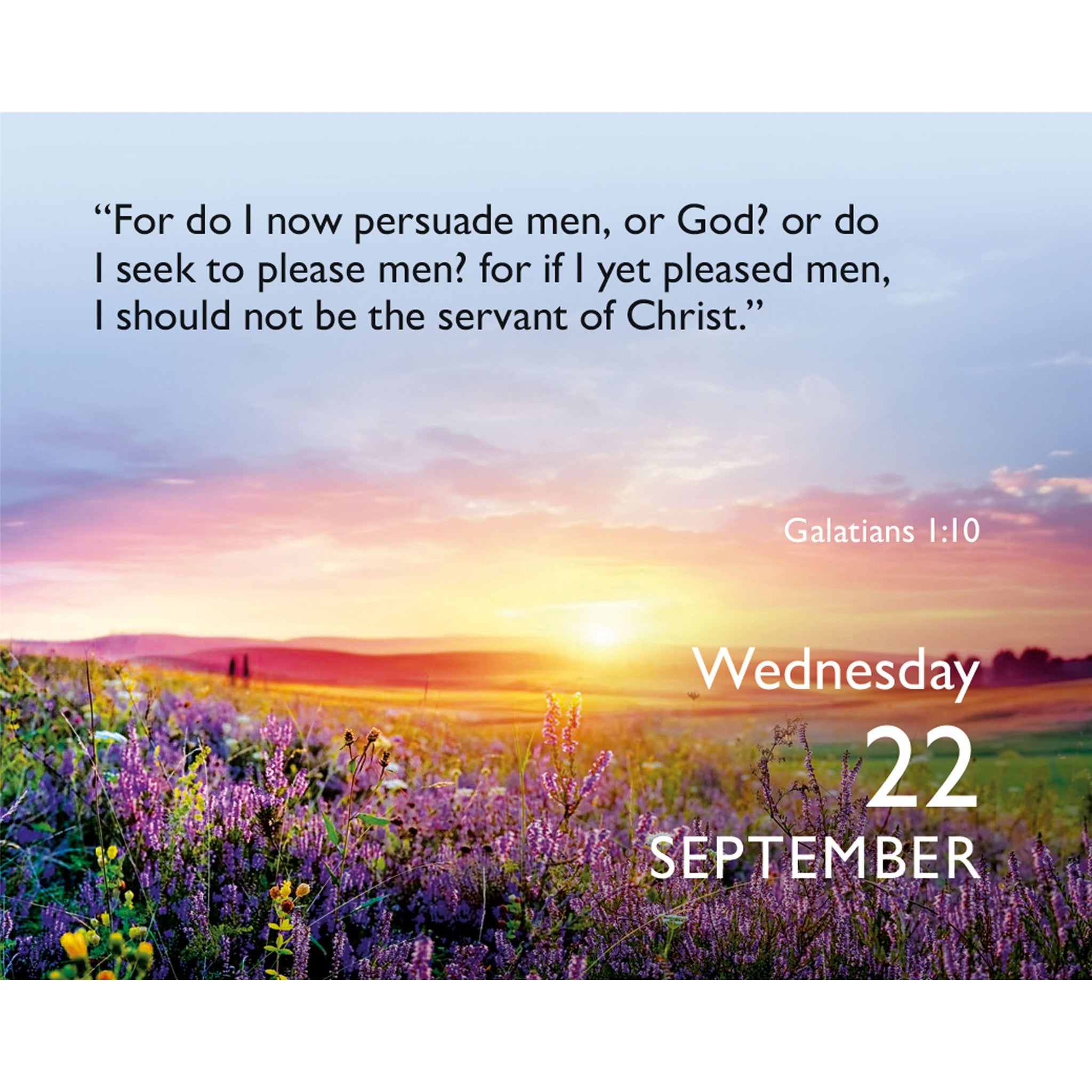 Bible Verse a Day 2027 Small Box Calendar