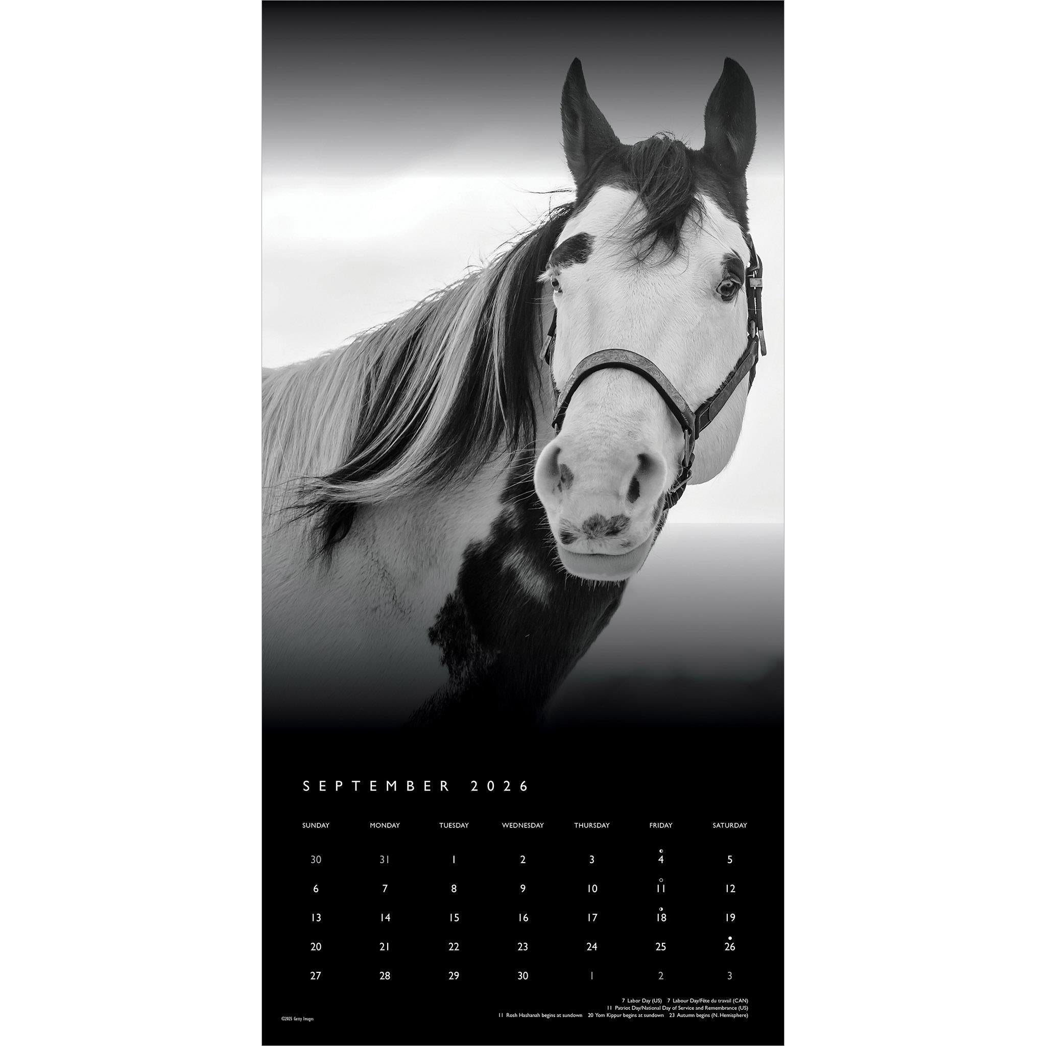 The Noble Horse 2026 Wall Calendar