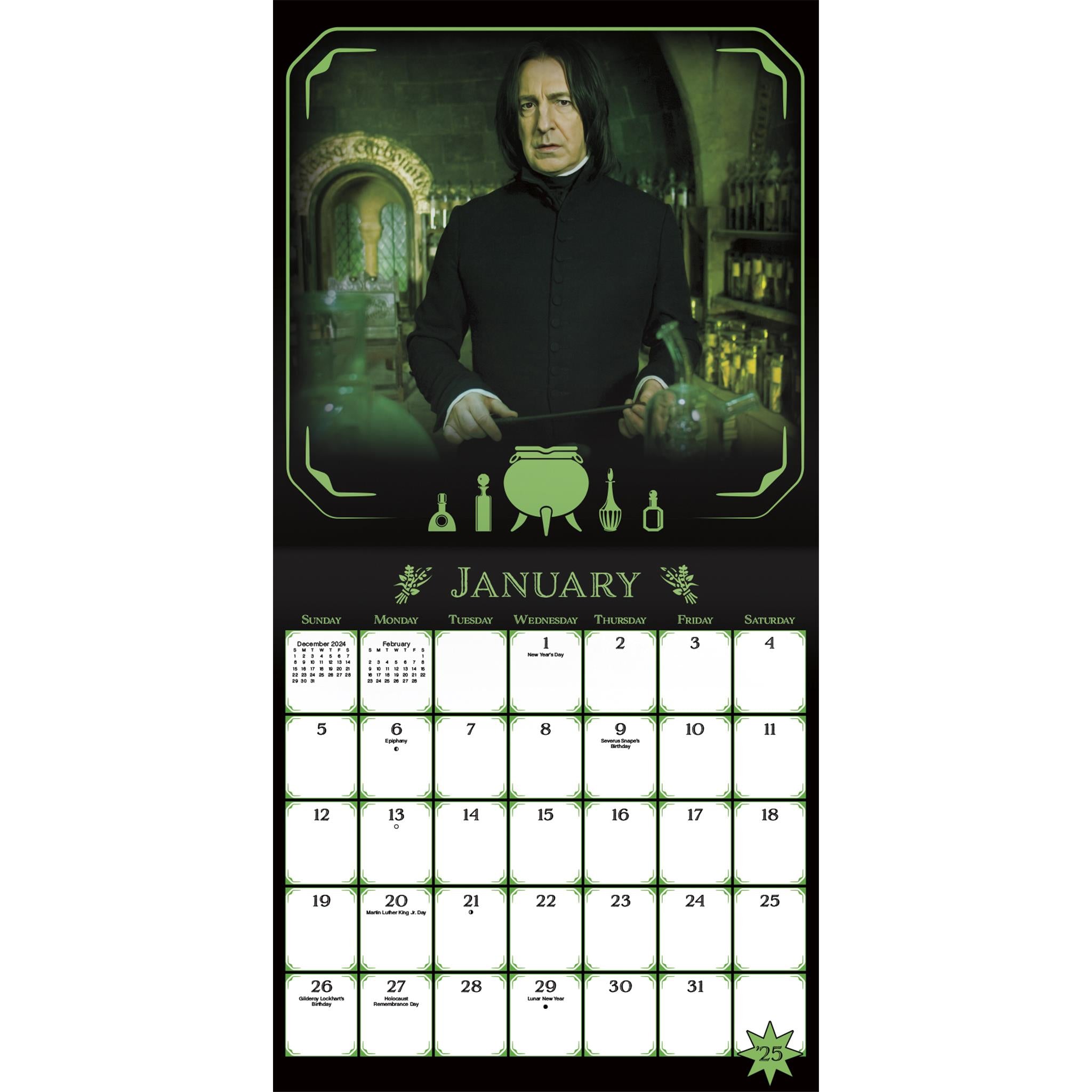 Harry Potter Exclusive with Decal Wall 2025 Calendar