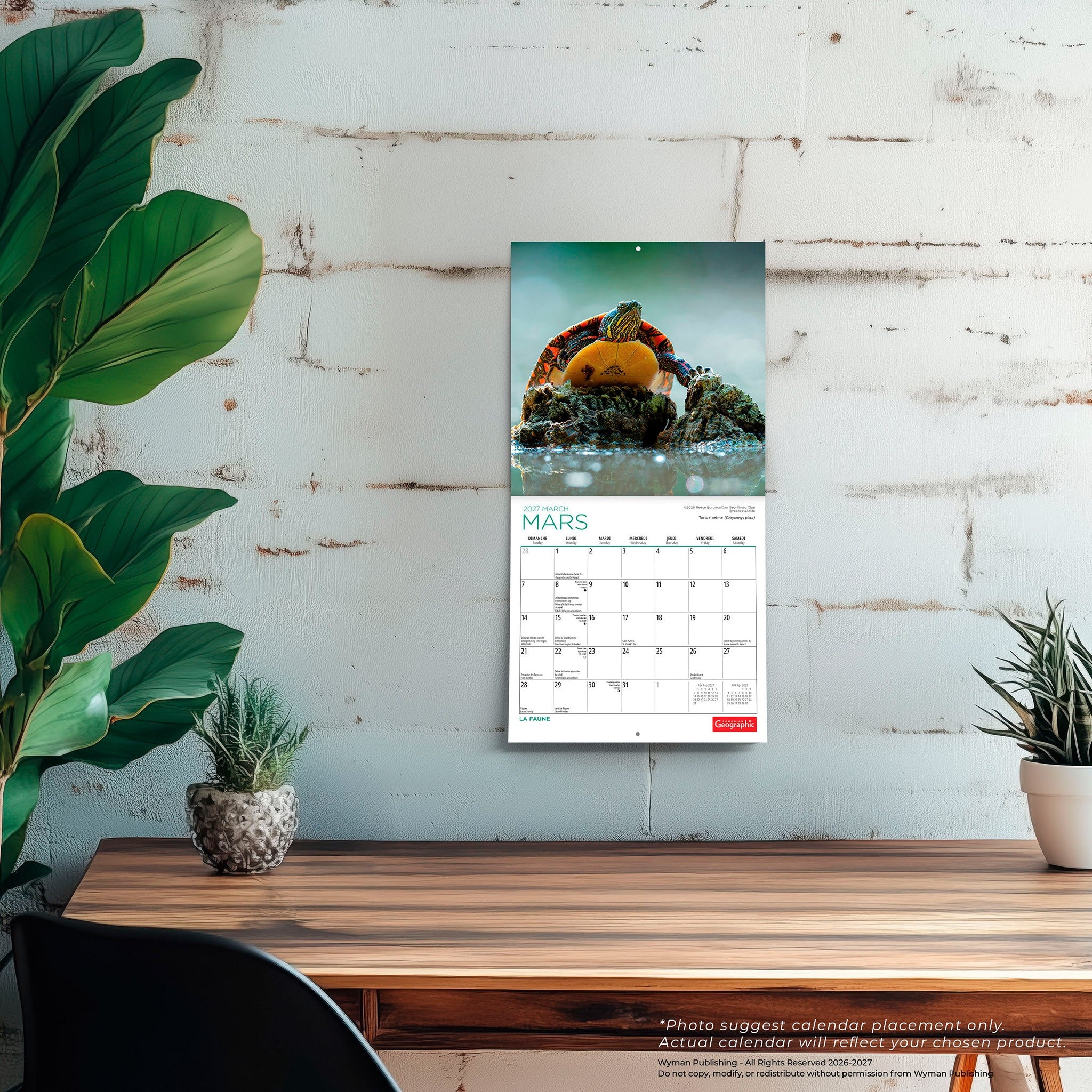 Canadian Geographic La faune 2027 Mini Calendar (French)