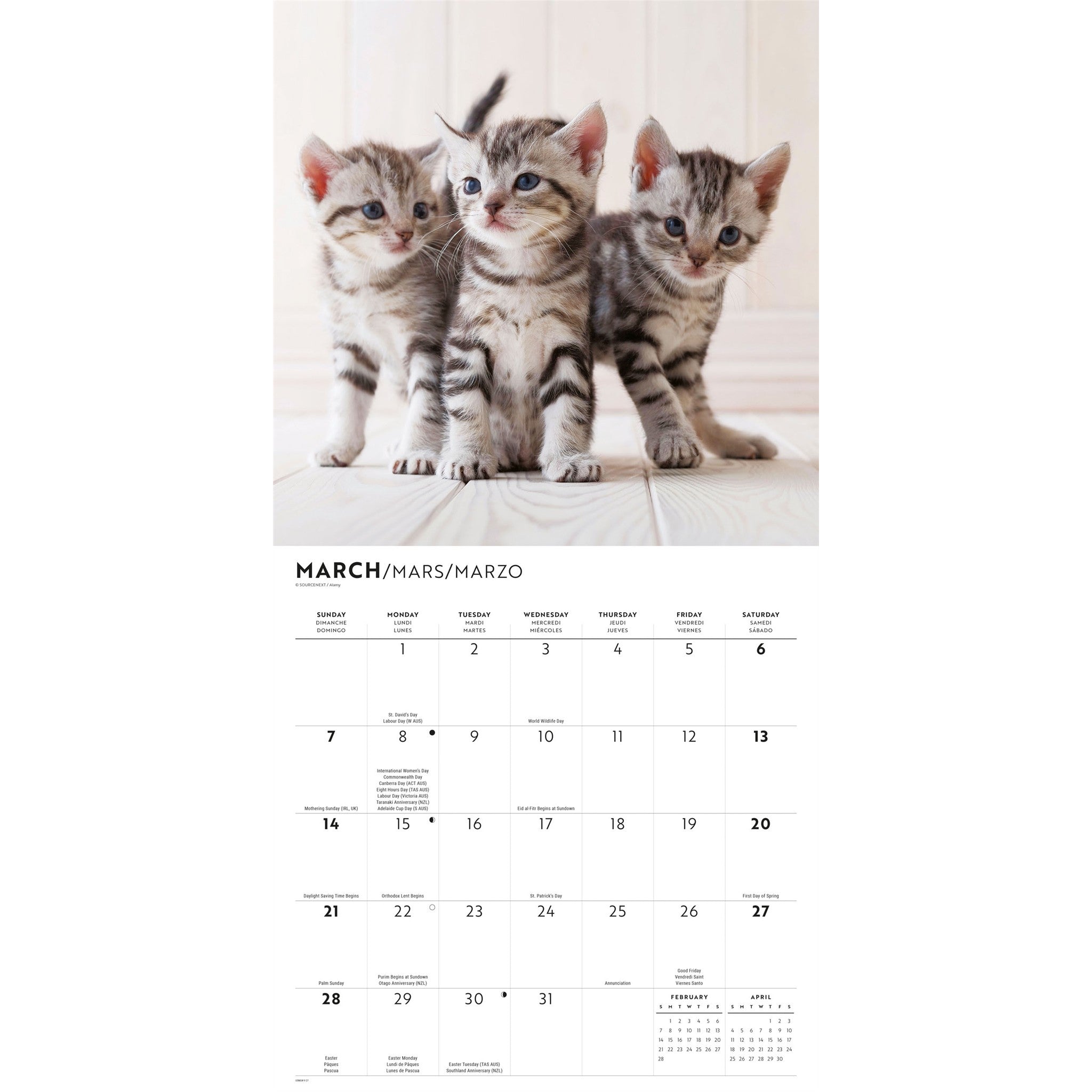 Cute Kittens 2027 Wall Calendar