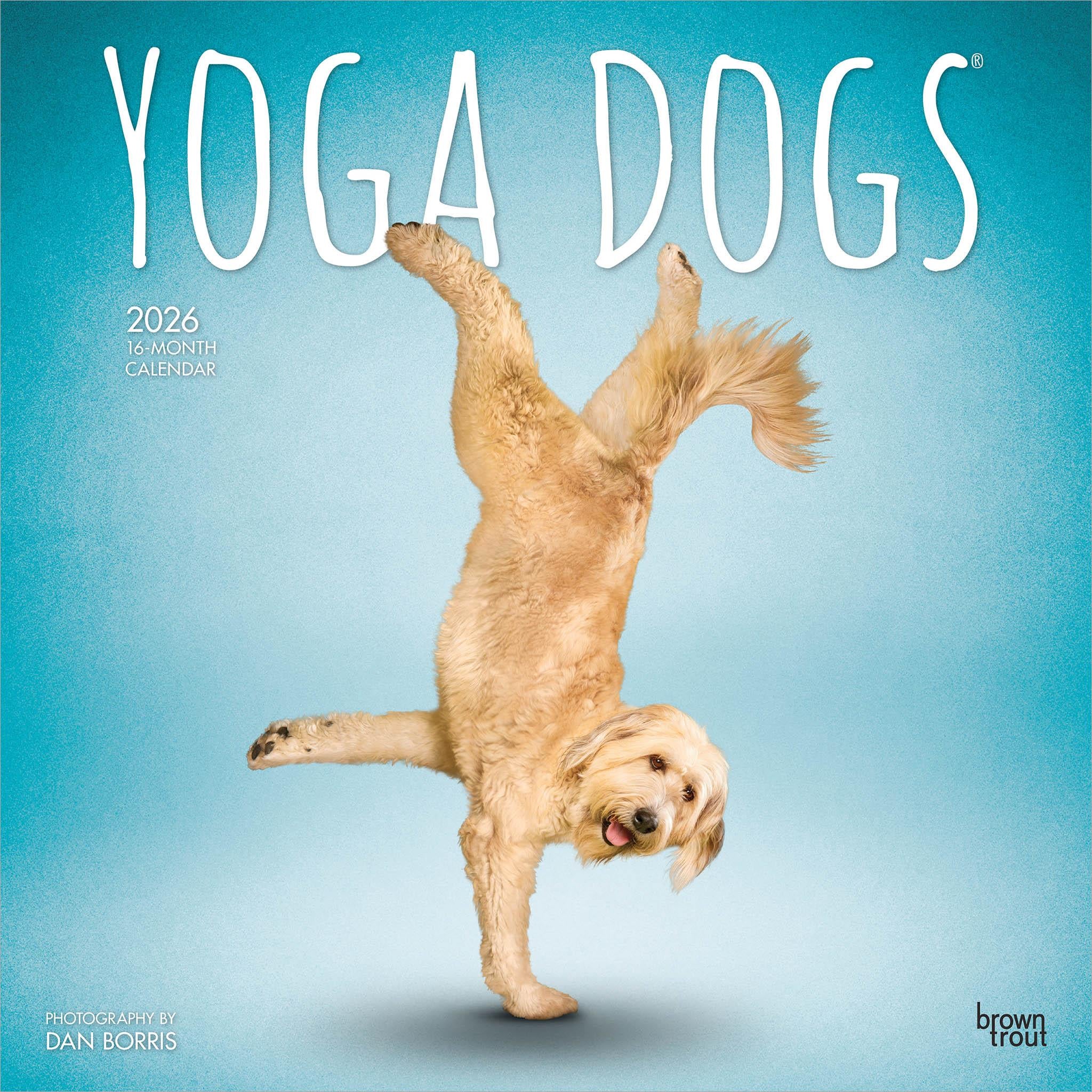 Yoga Dogs 2026 Wall Calendar