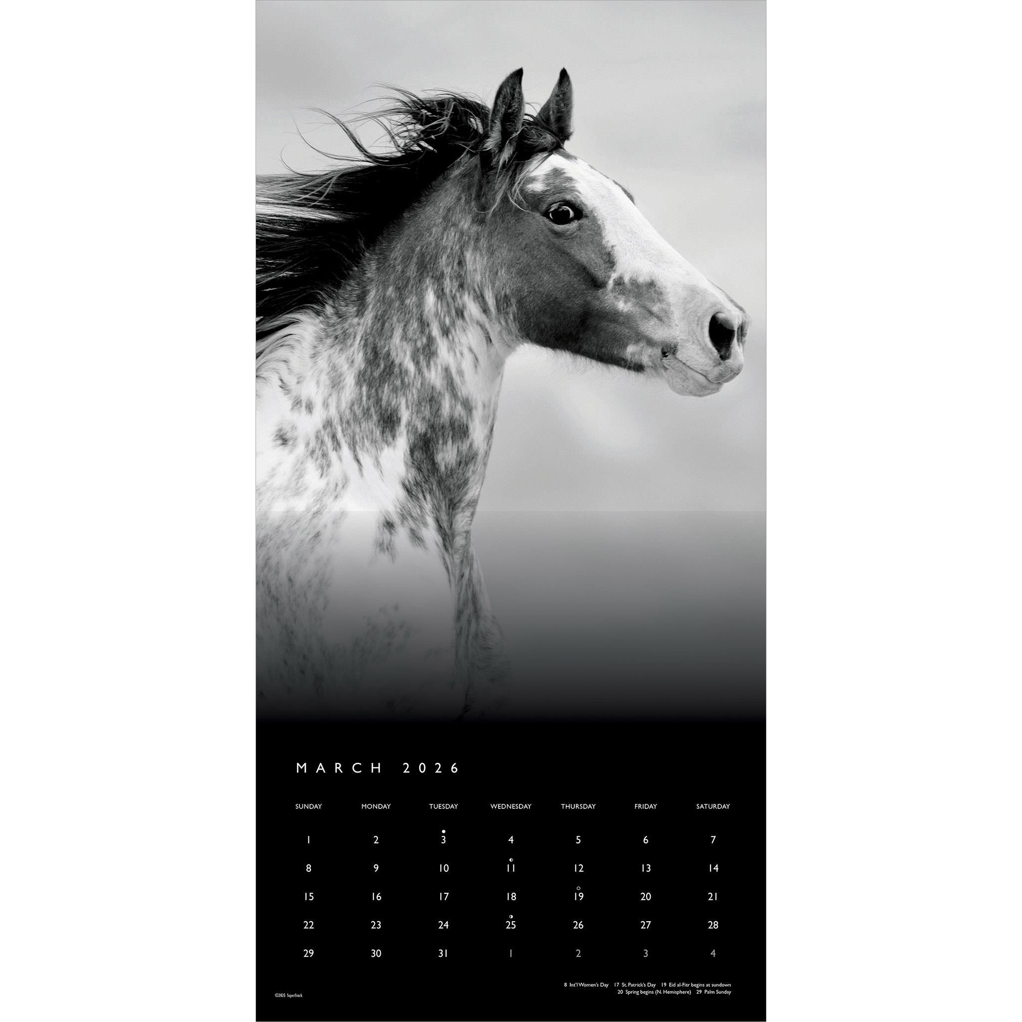 The Noble Horse 2026 Wall Calendar