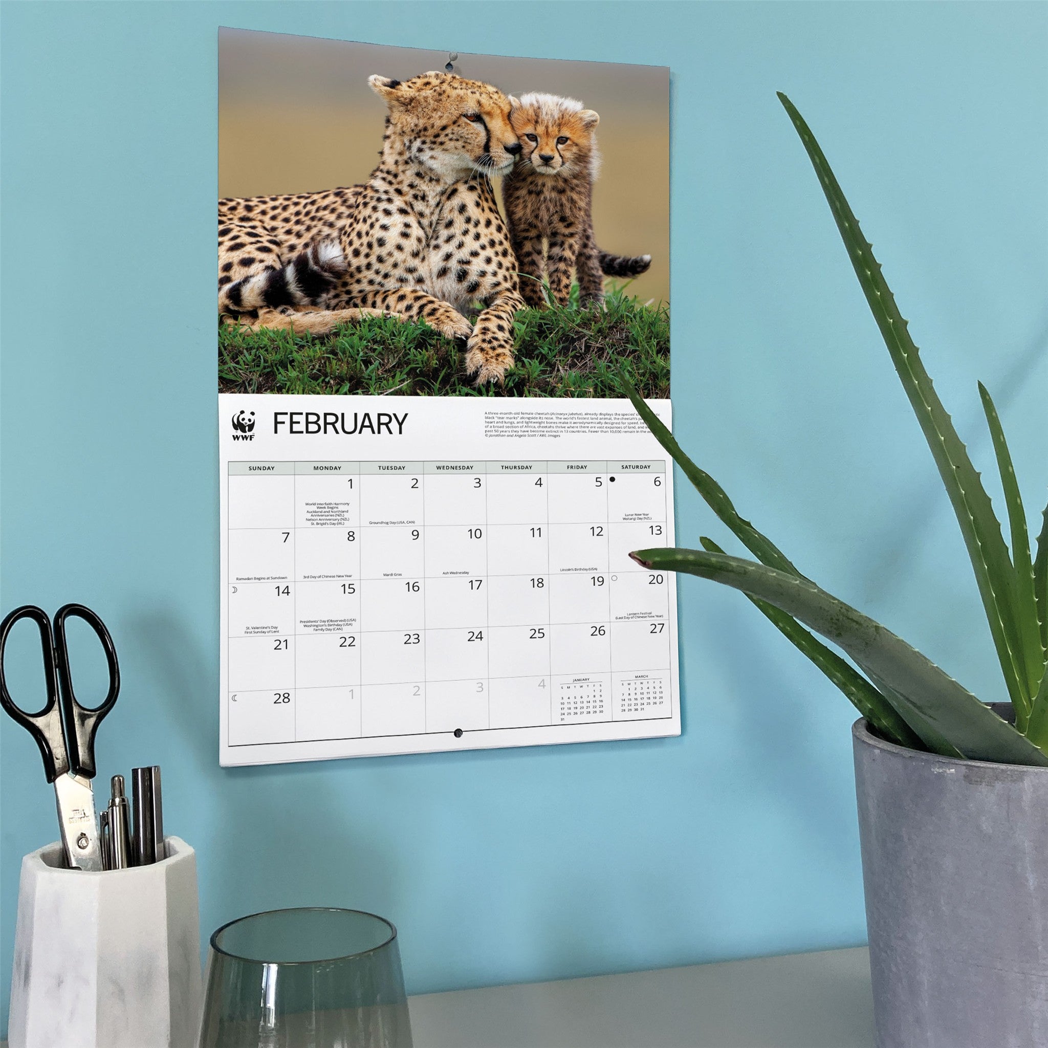 World Wildlife Fund Wild Cats 2027 Wall Calendar