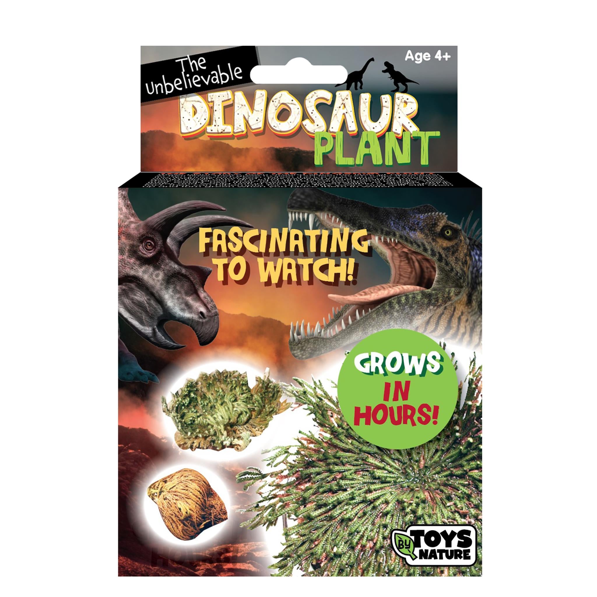 Dinosaur Plant