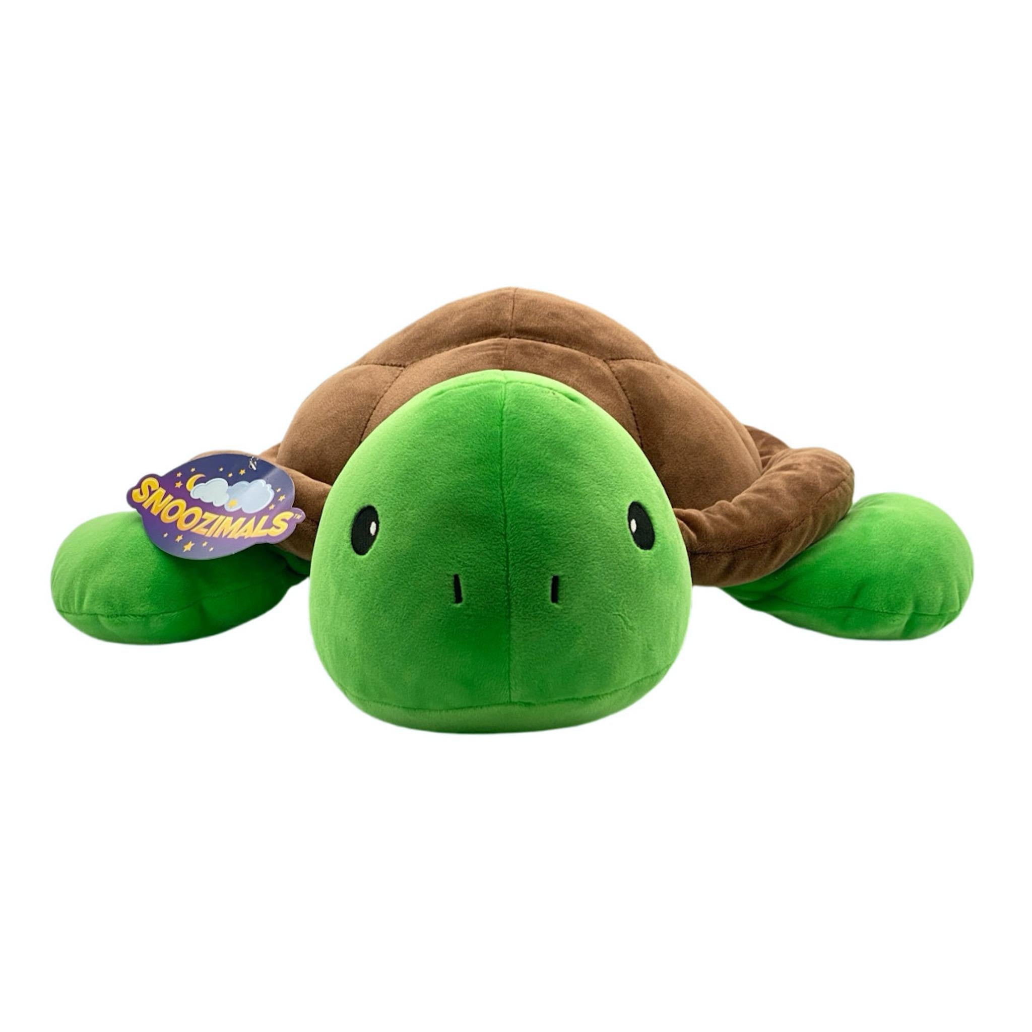 400069499997 Turtle Snoozimals Go! Games - Calendar Club