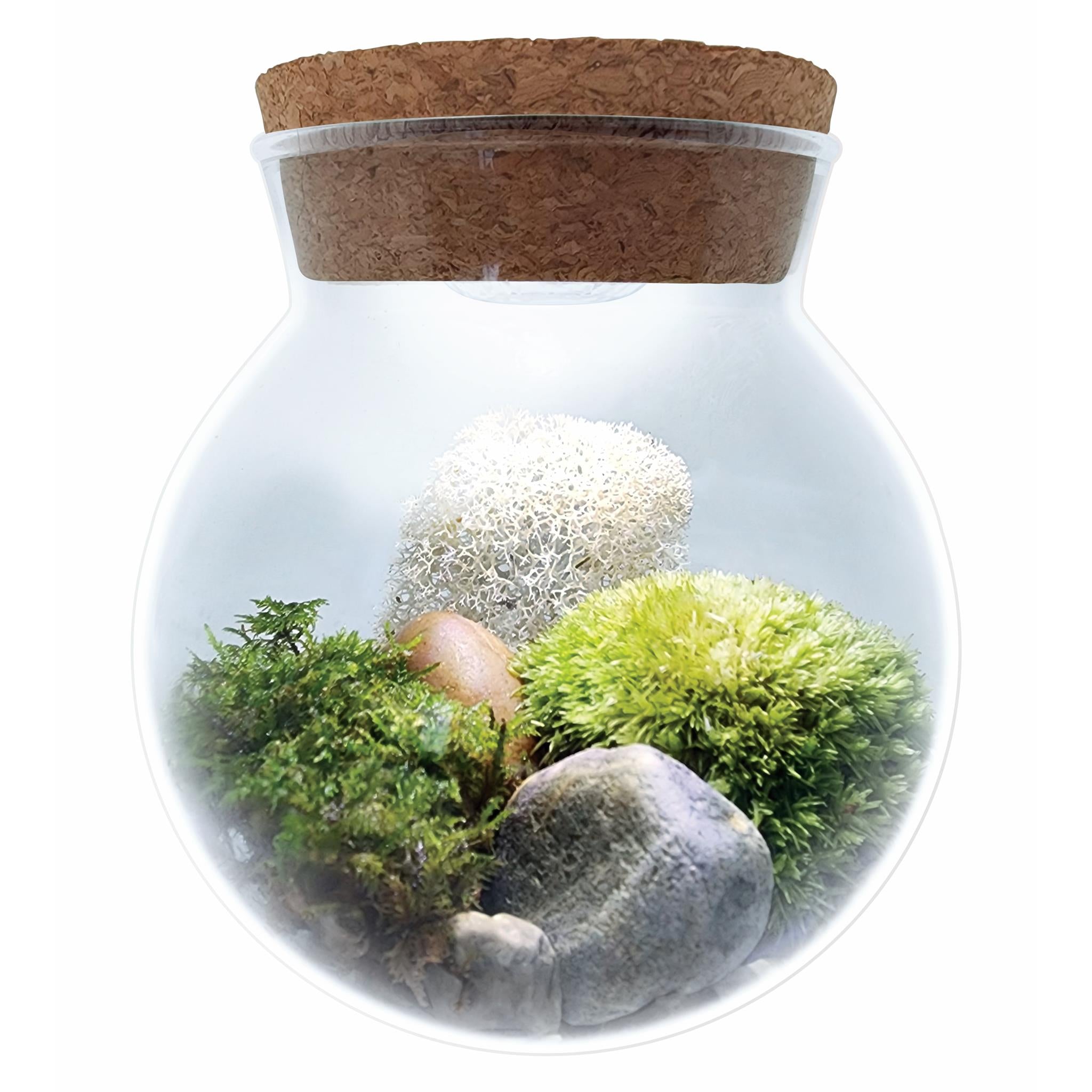 MossBowl