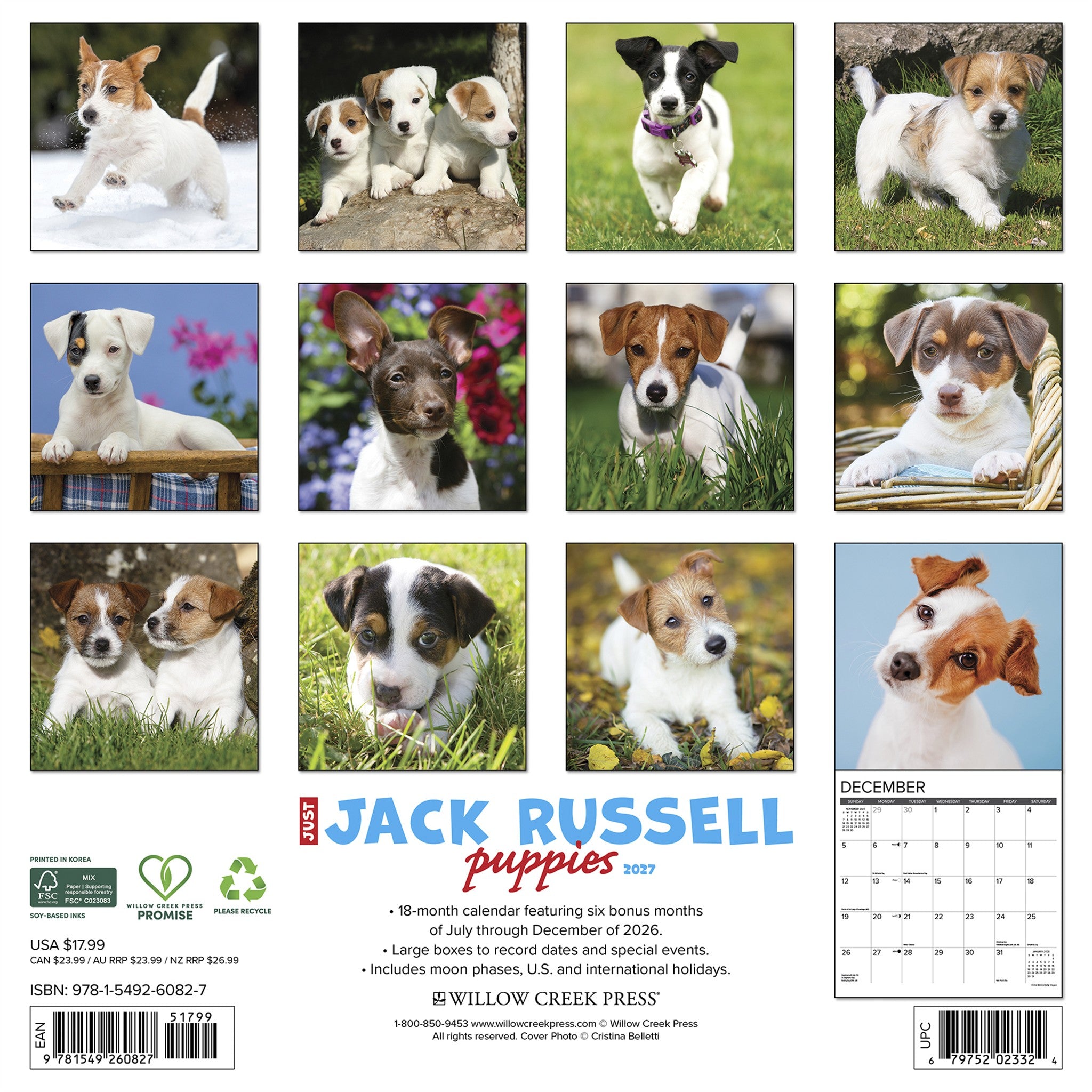 Jack Russell Puppies 2027 Wall Calendar - Online Only