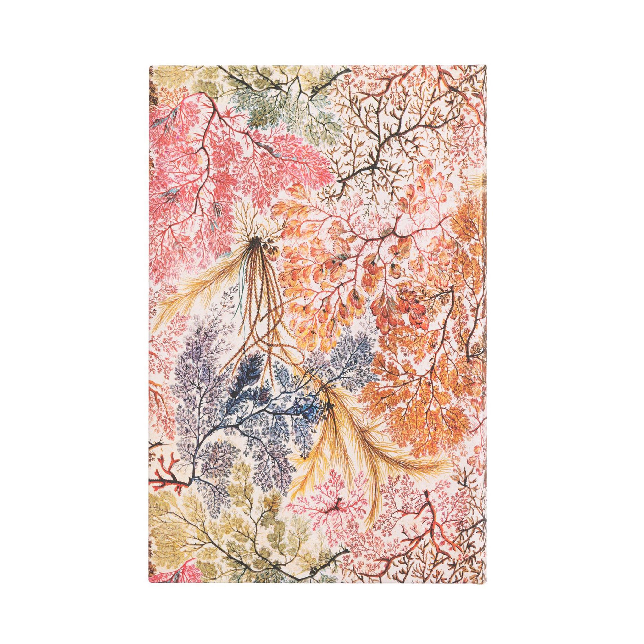 Anemone William Kilburn Engagement 2025 Calendar