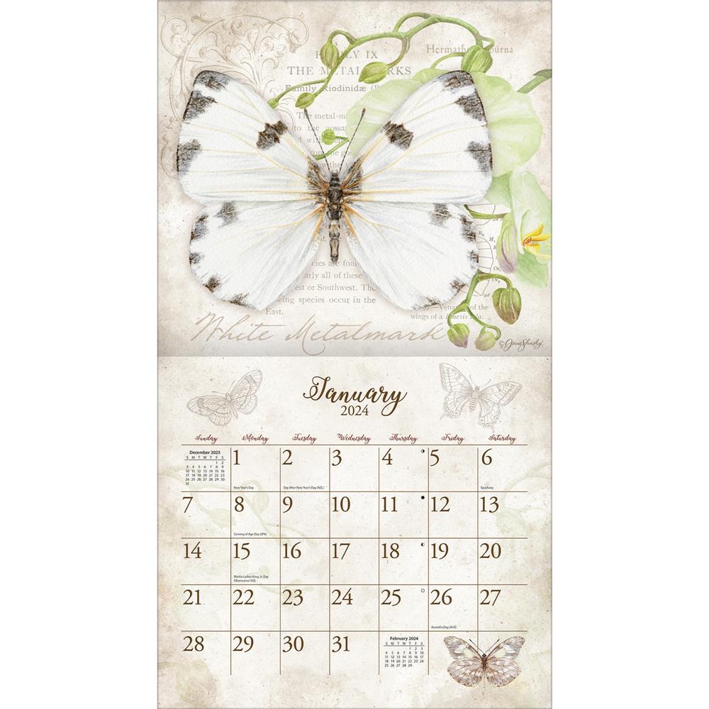 Butterflies 2024 Wall Calendar - Online Exclusive product image