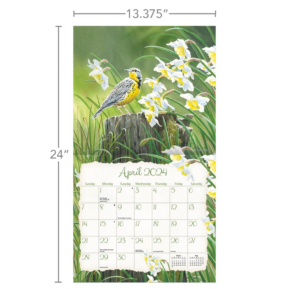 Songbirds 2024 Wall Calendar product image