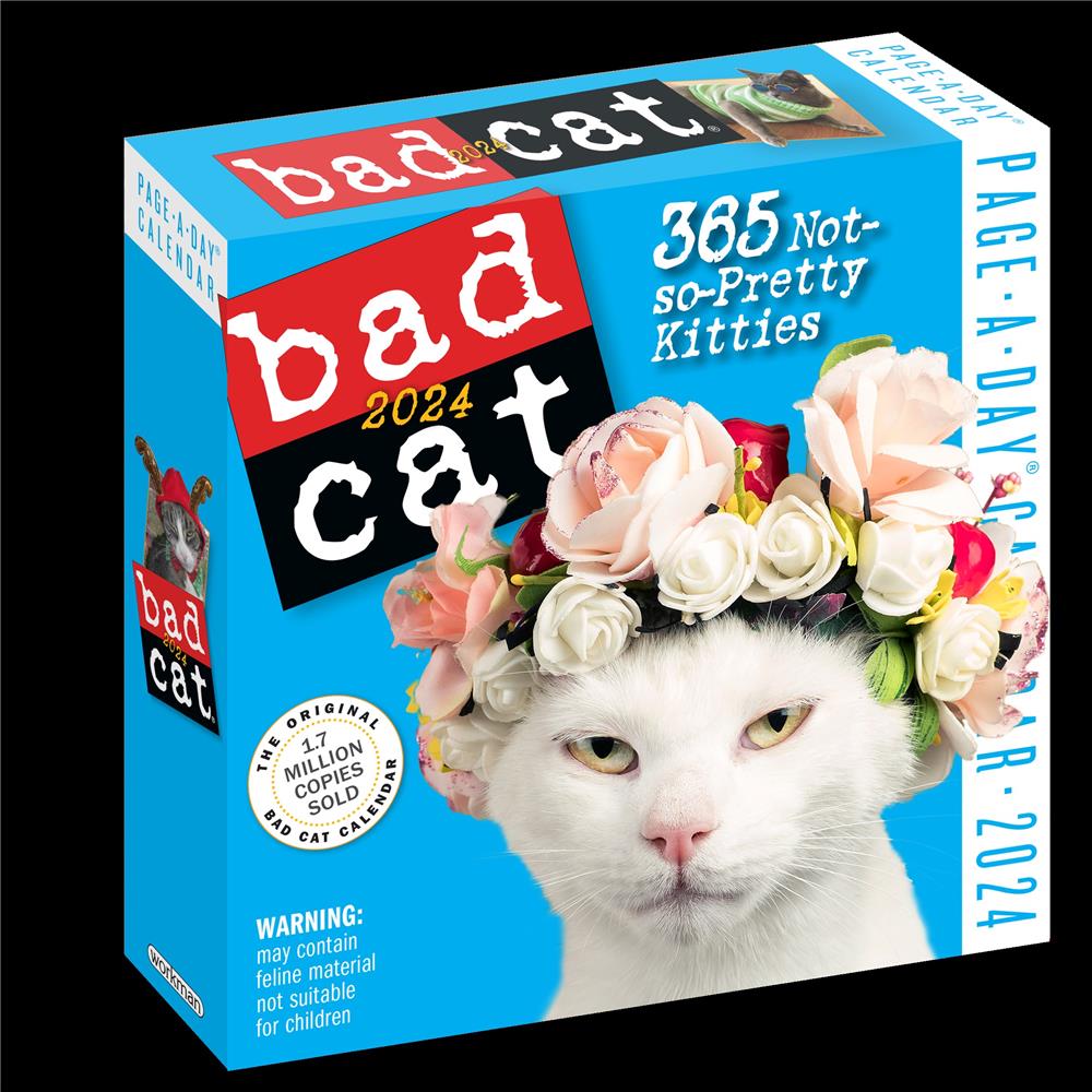 Bad Cat 2024 Box Calendar